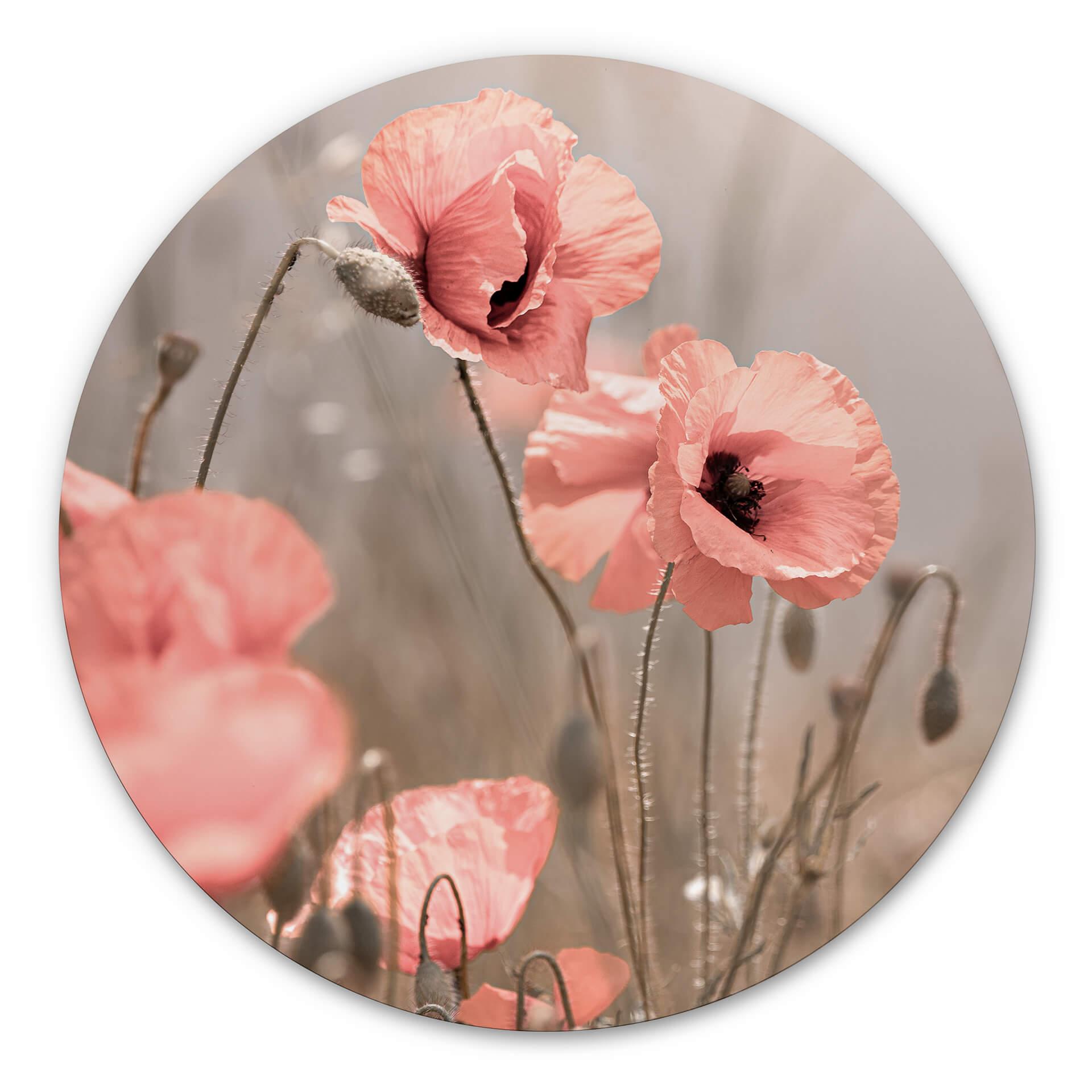 Wandcirkel Delgado - Poppy Flower Romance