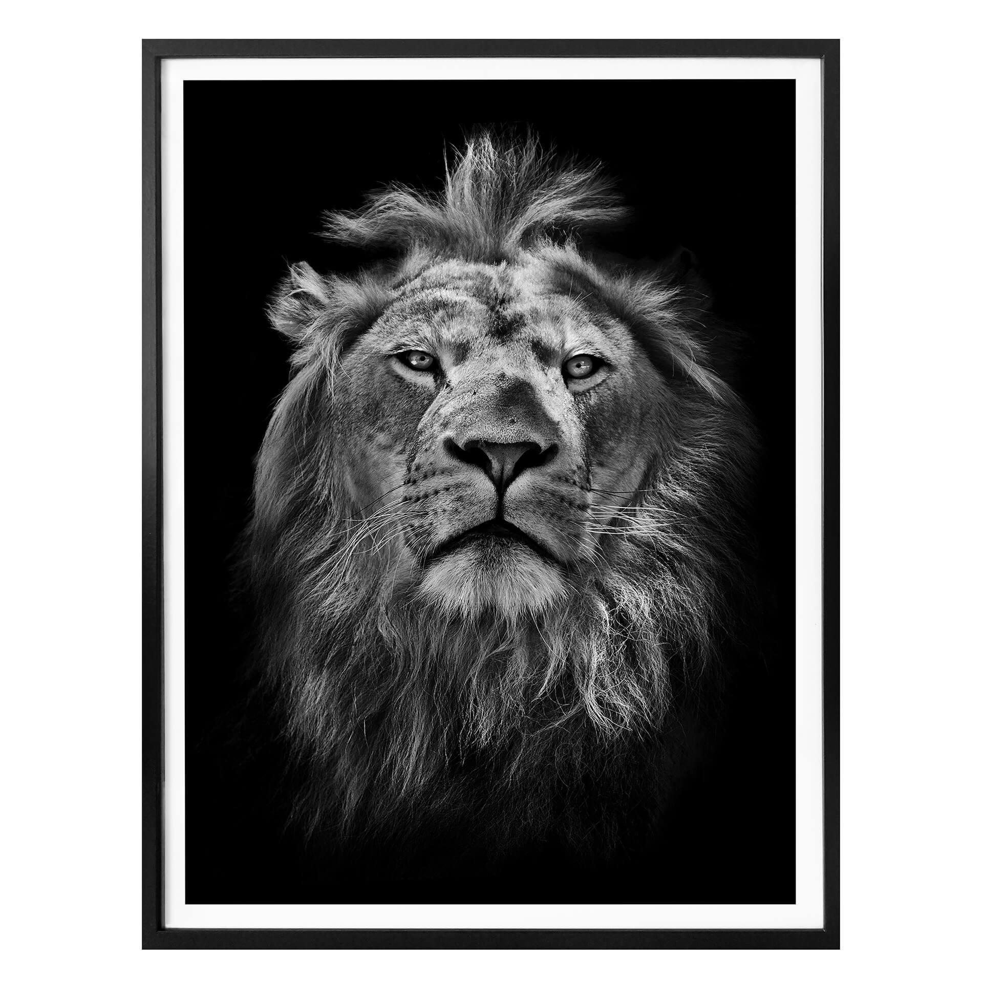 Póster León