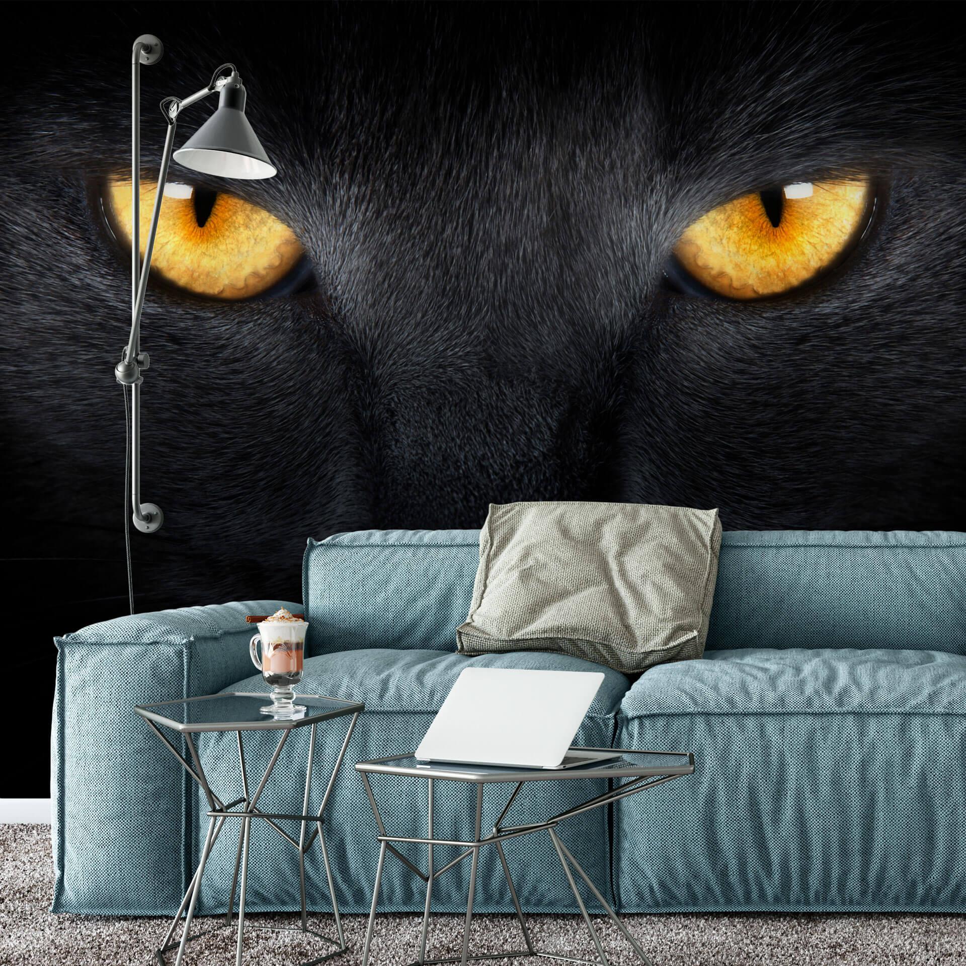 Fototapet Cat's Eyes - 432x260 cm