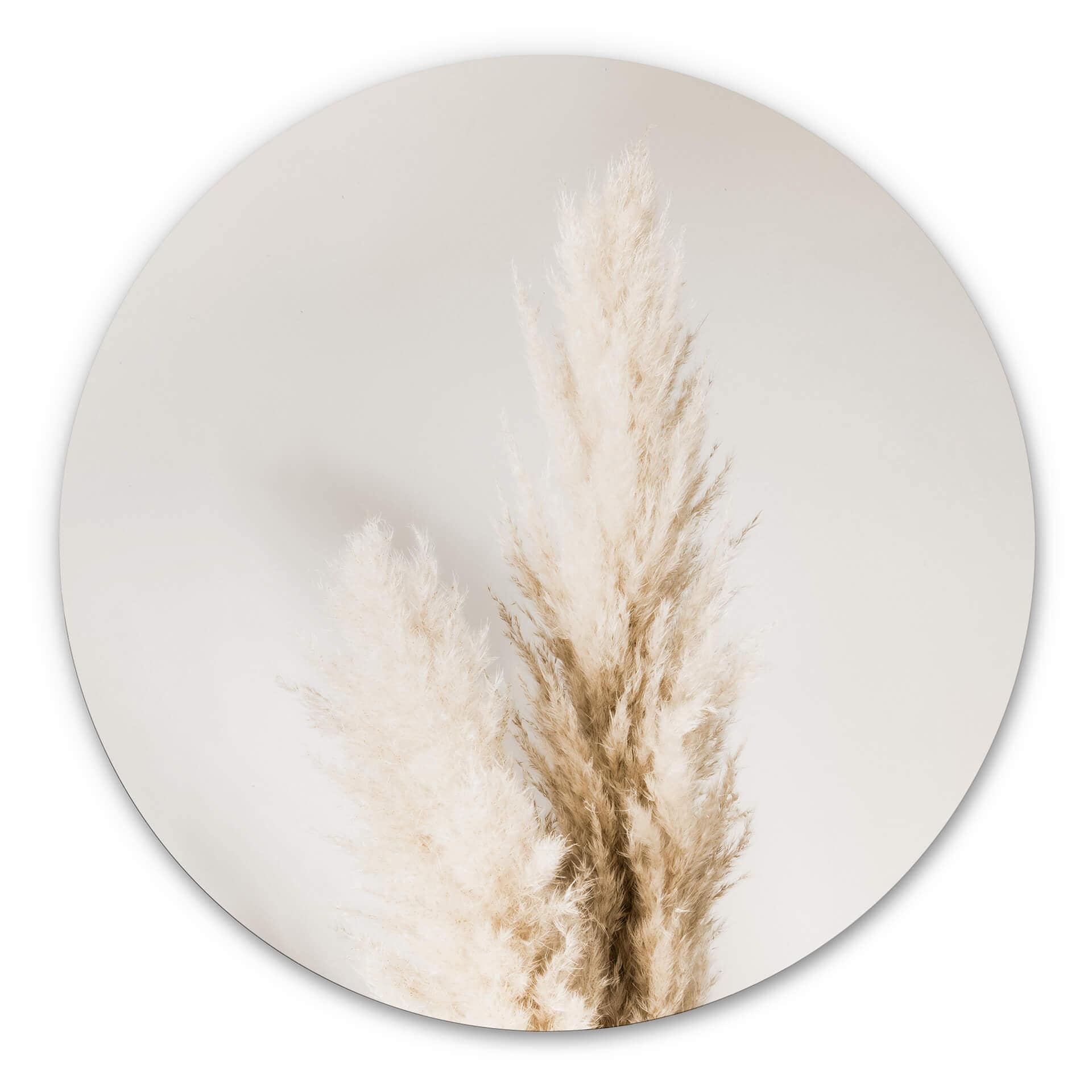 Tableau sur alu-Dibond 1X Studio - Herbes de la Pampa - Rond