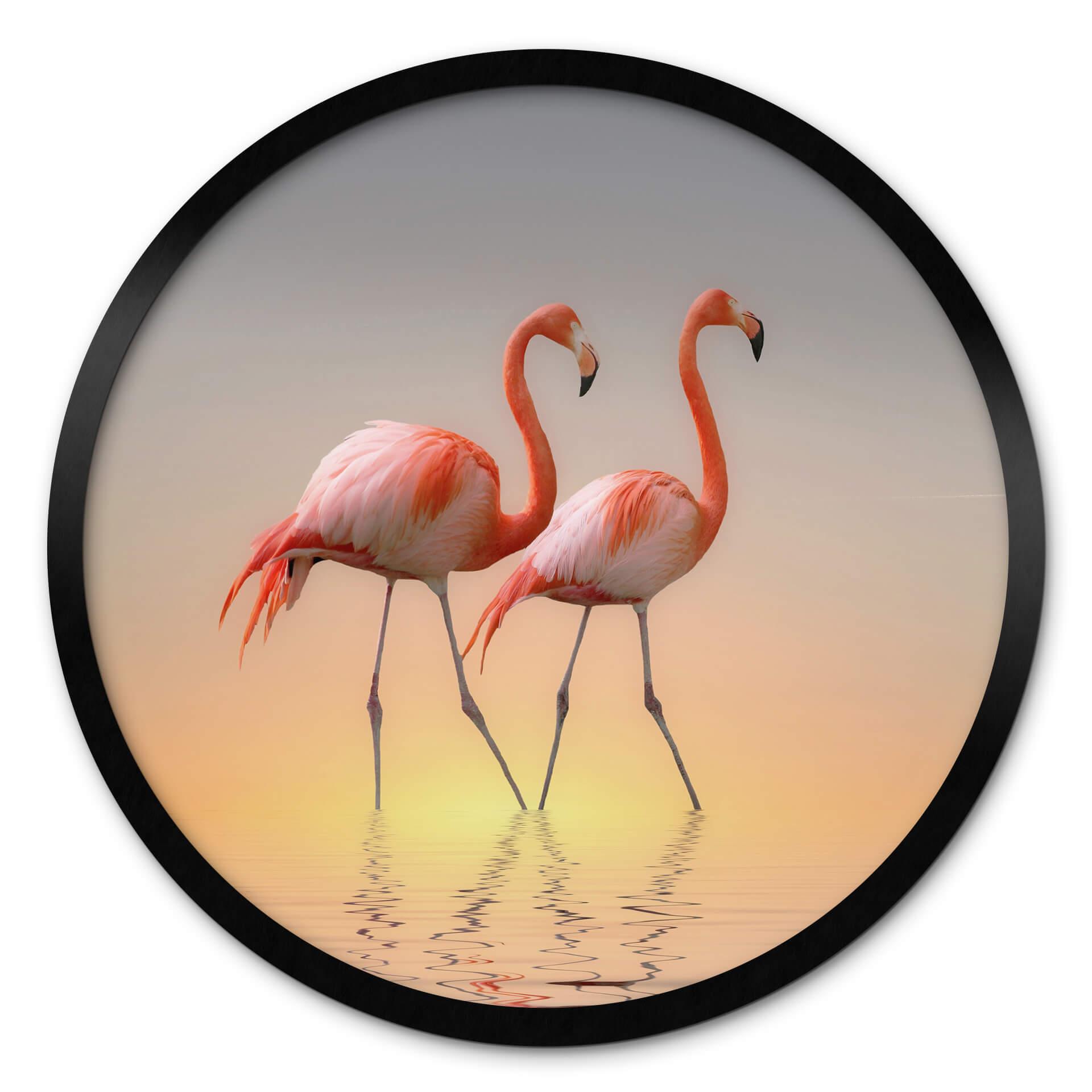 Póster Cseresnjes - Flamencos a la luz del atardecer - Redondo