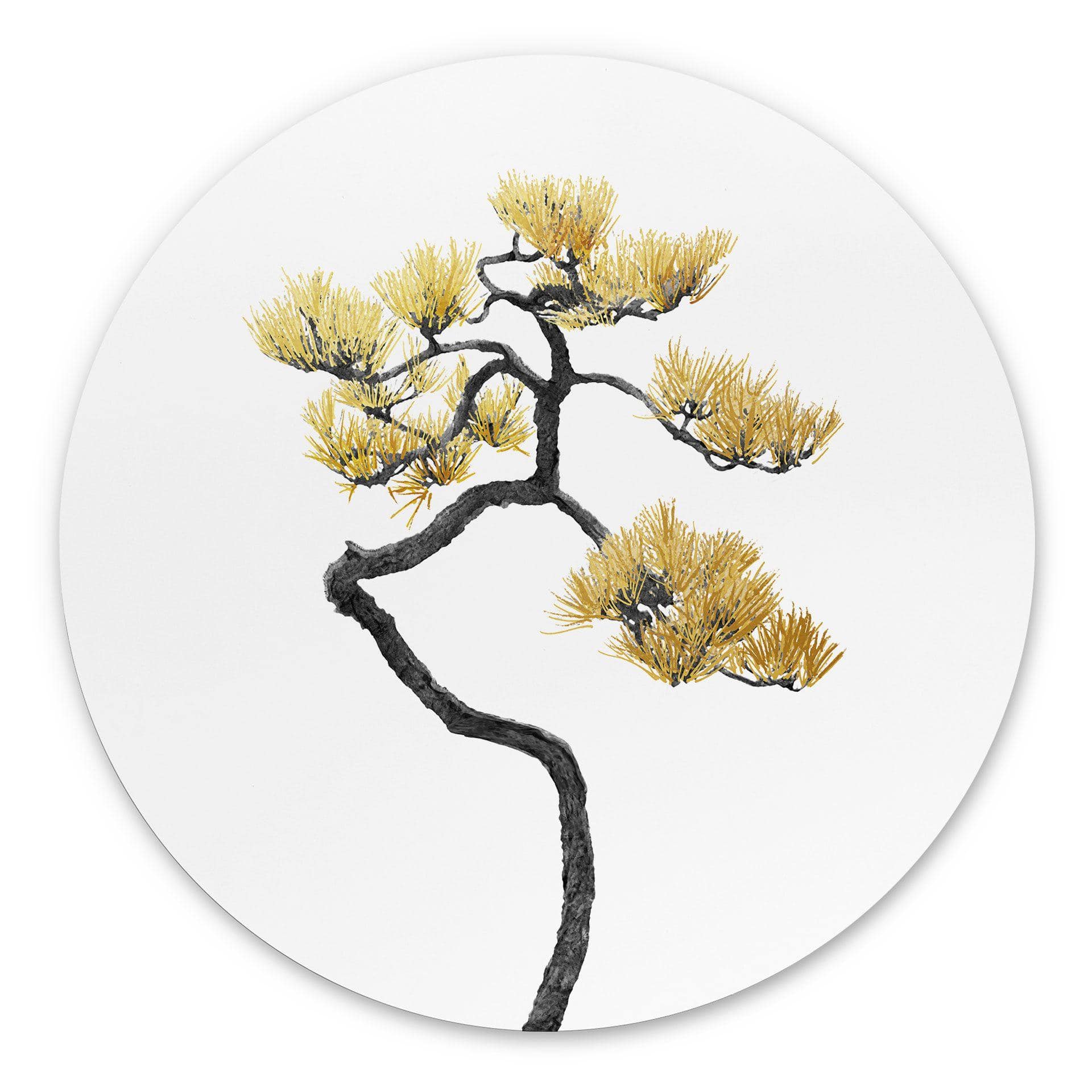 Vægcirkel Bonsai i balance - Amini – print på aluminium (Alu-Dibond)