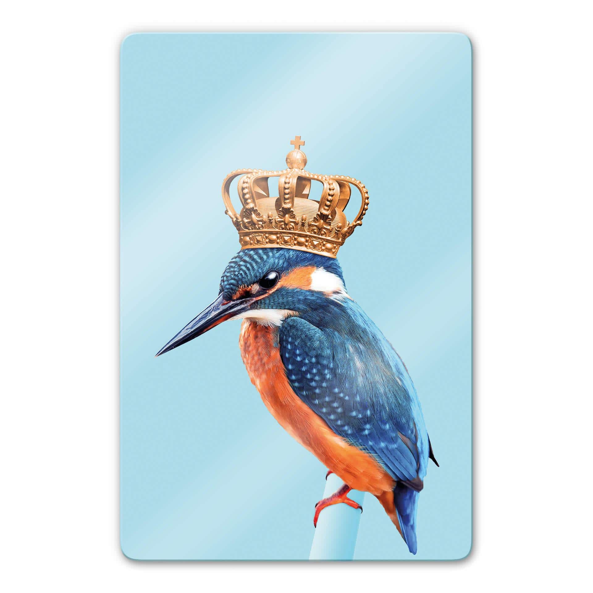 Tableau en verre Loose - Le roi martin-pêcheur