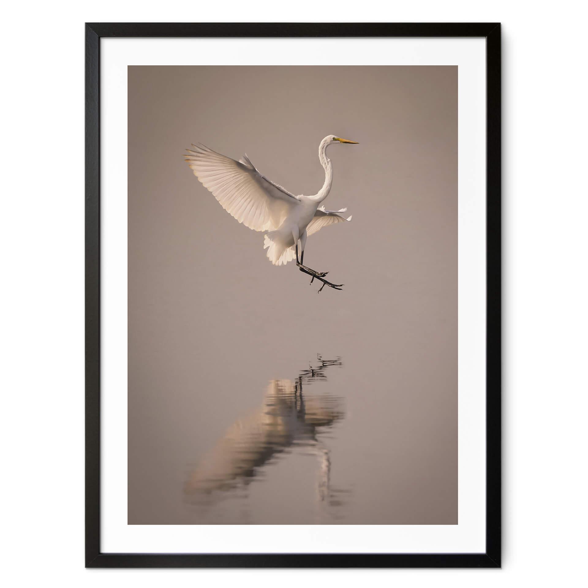 Póster Lai - Pájaro aterrizando en el agua