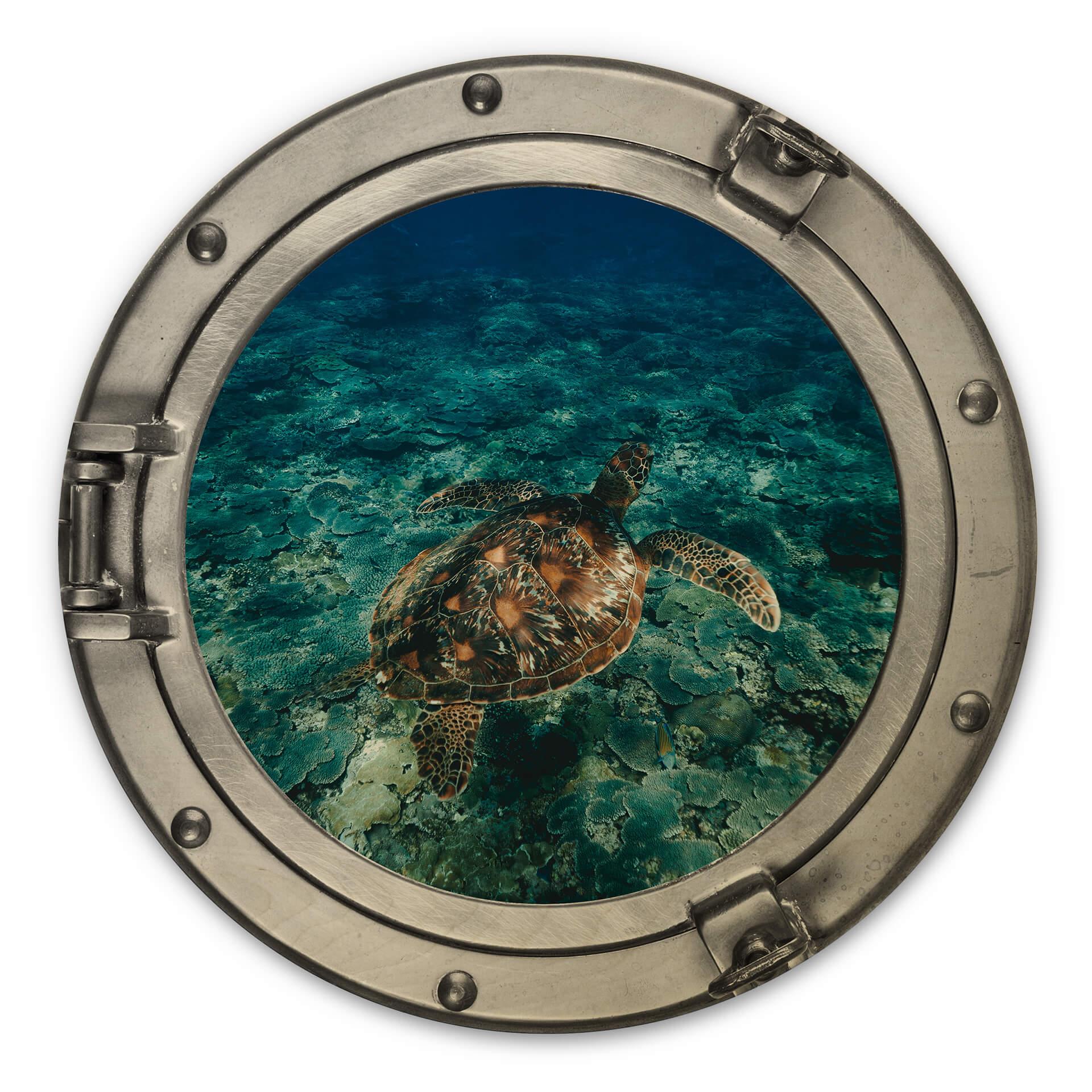 Billede af træ 3D-optik - Skildpadde fra oven - Rund