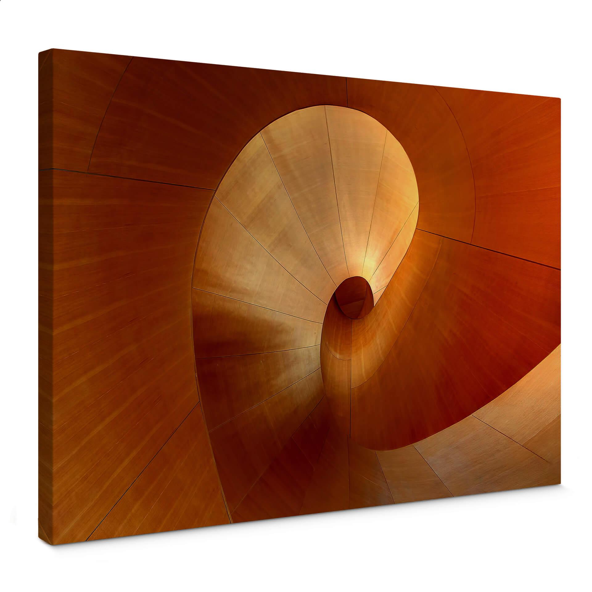 Canvasbillede - Shainidze - The Curve