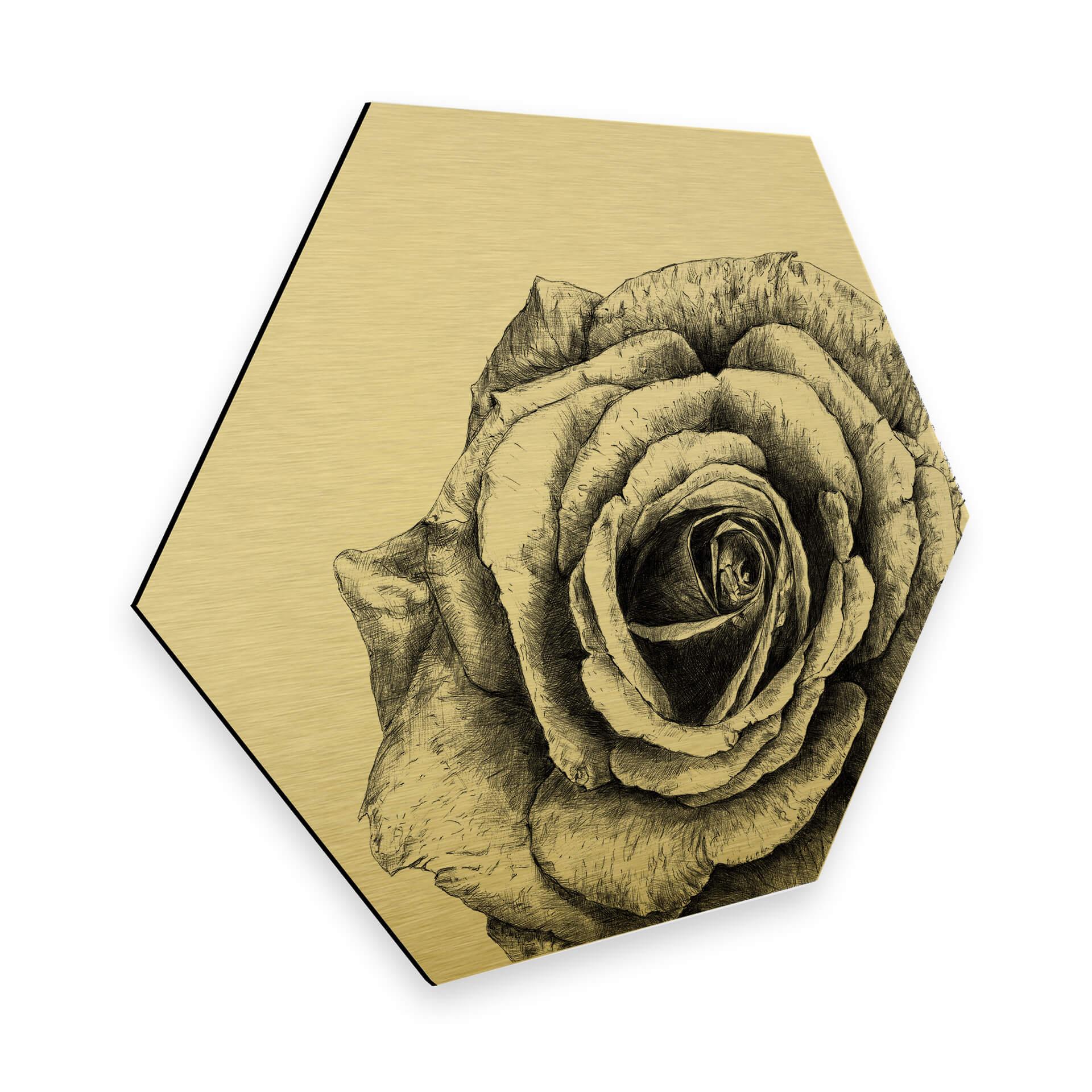 Hexagon - Alu-Dibond med guldeffekt - Kools - Rose