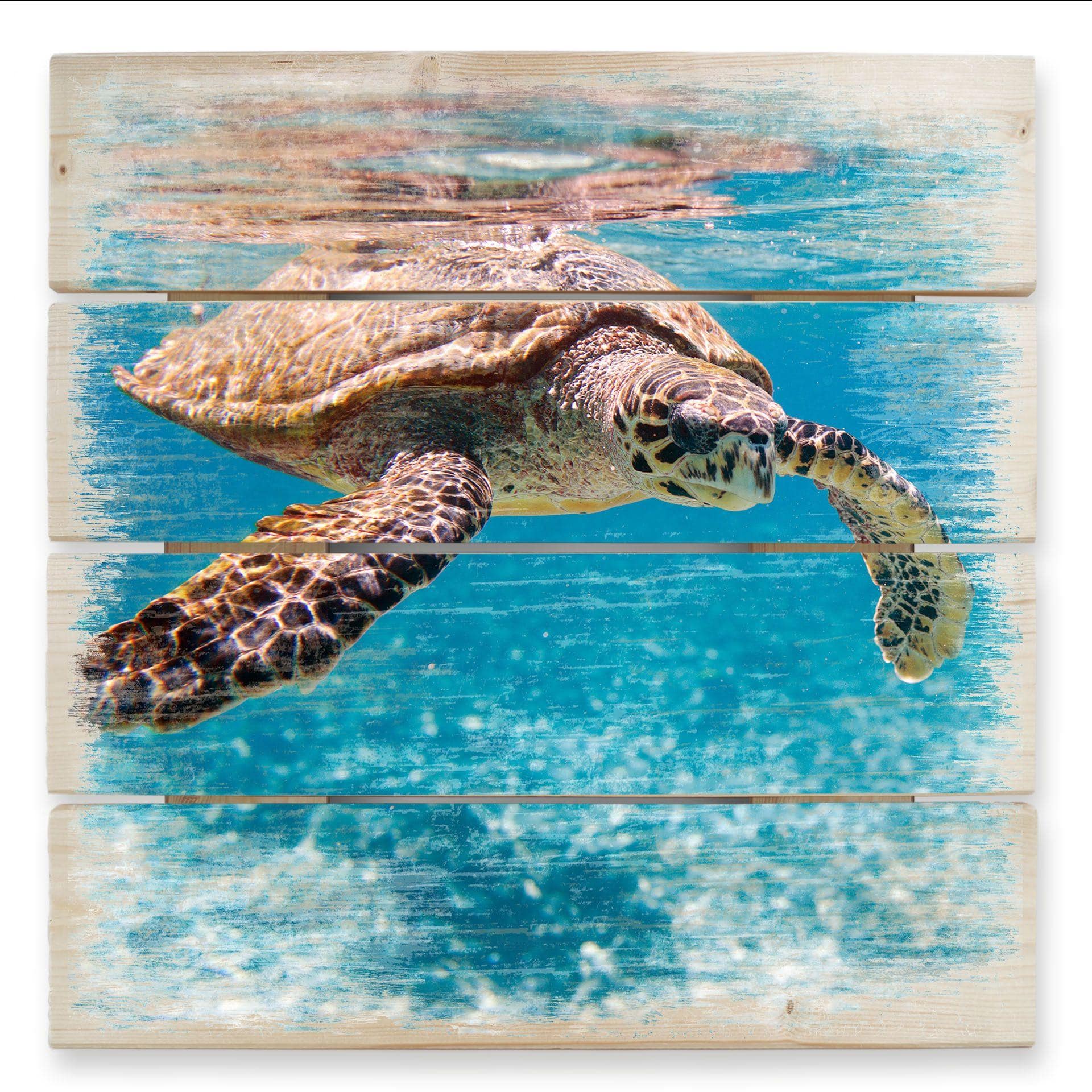 Svømmende skildpadde - Træ print
