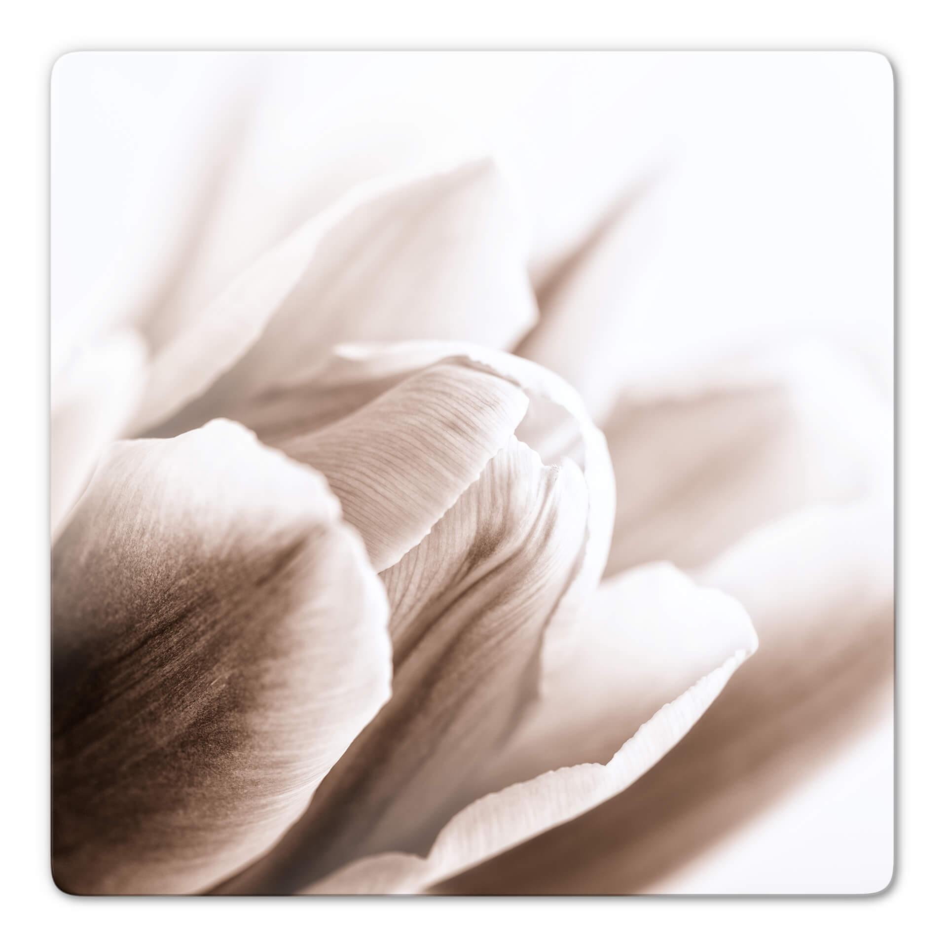 Glasbillede - Tulipaner