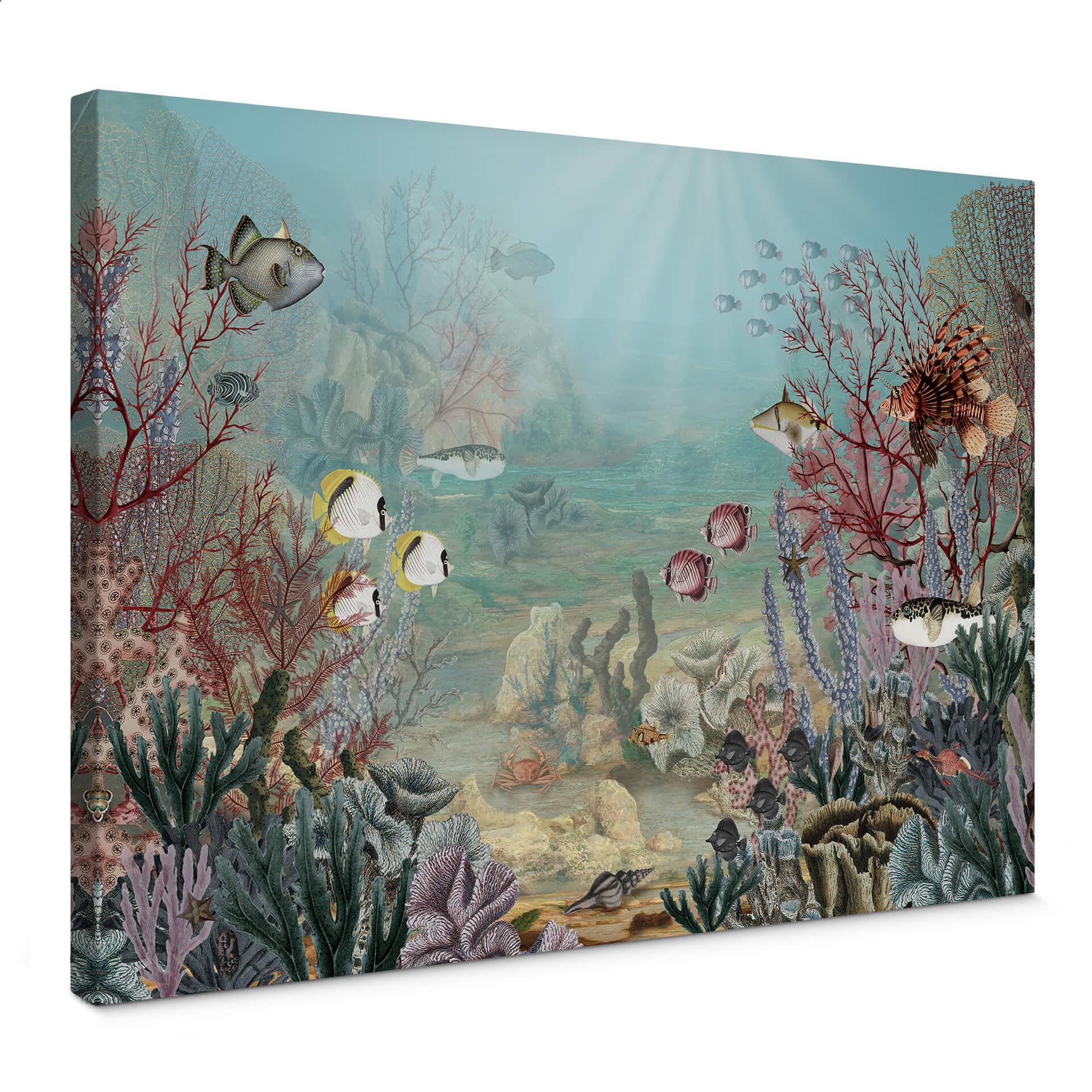 Lienzo Sir Edward - Habitante del coral