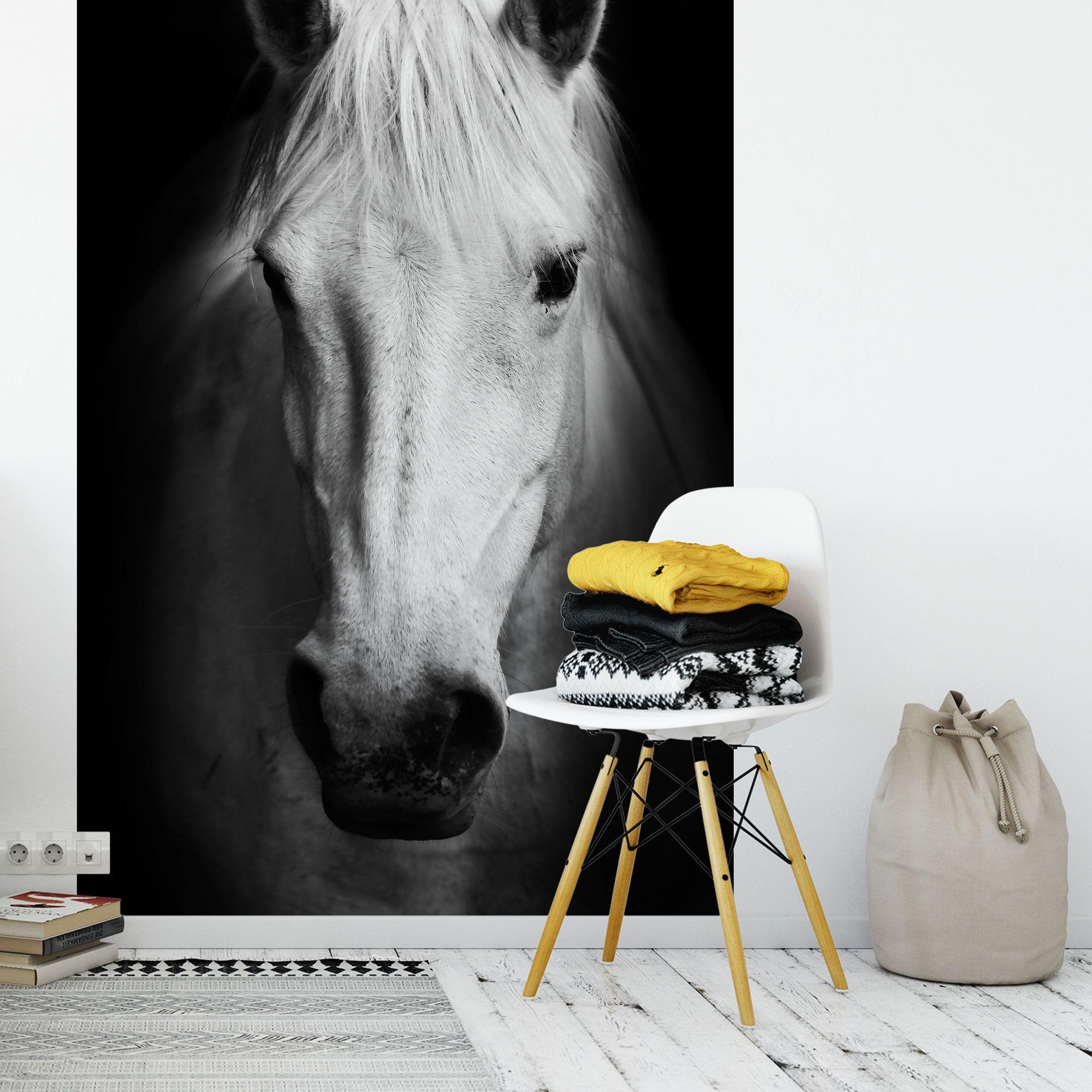 Fototapet White Horse - 144x260 cm