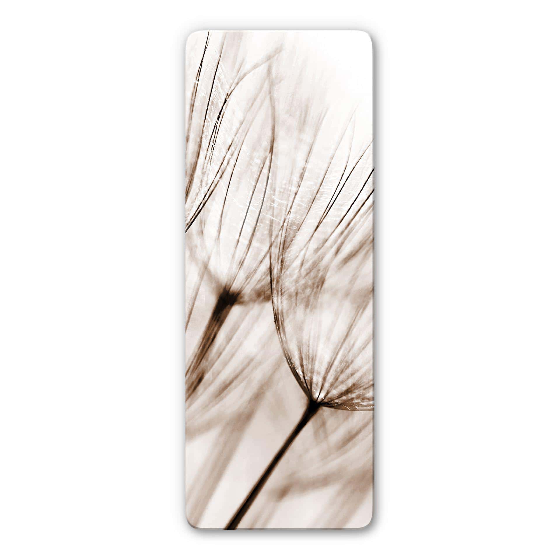 Tableau en verre - Aigrettes de Pissenlit - Panorama