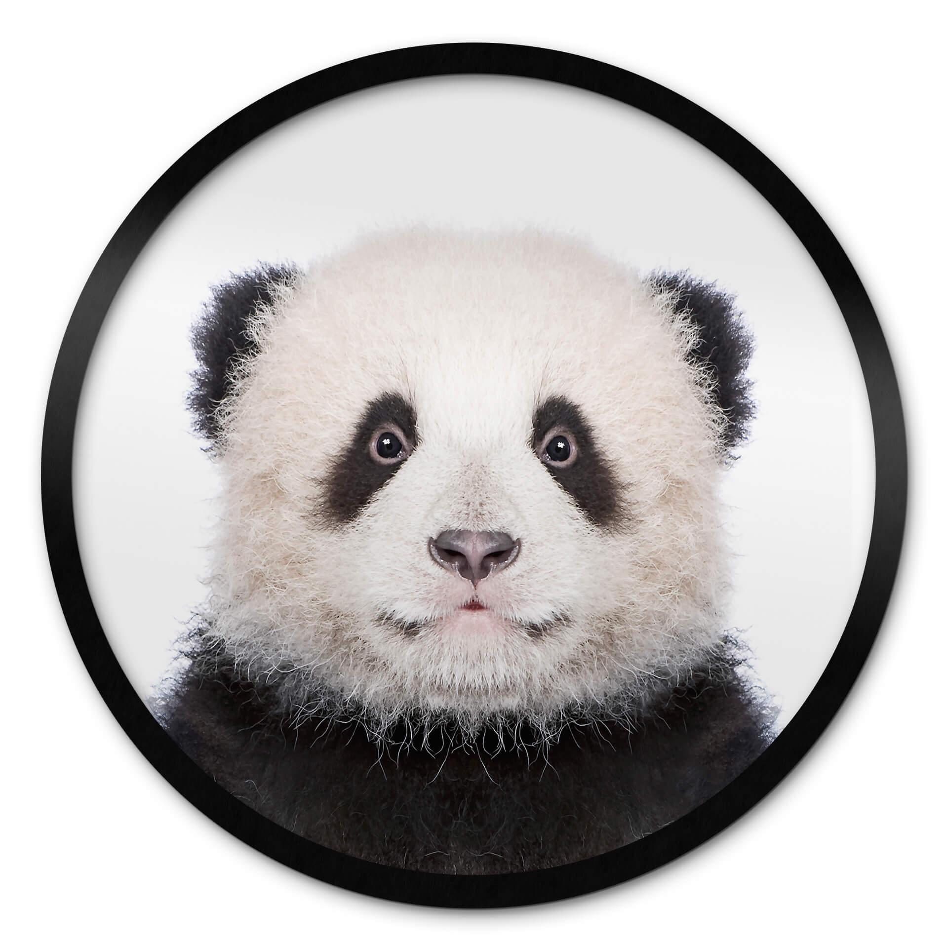Póster Sisi & Seb - Panda bebé - Redondo