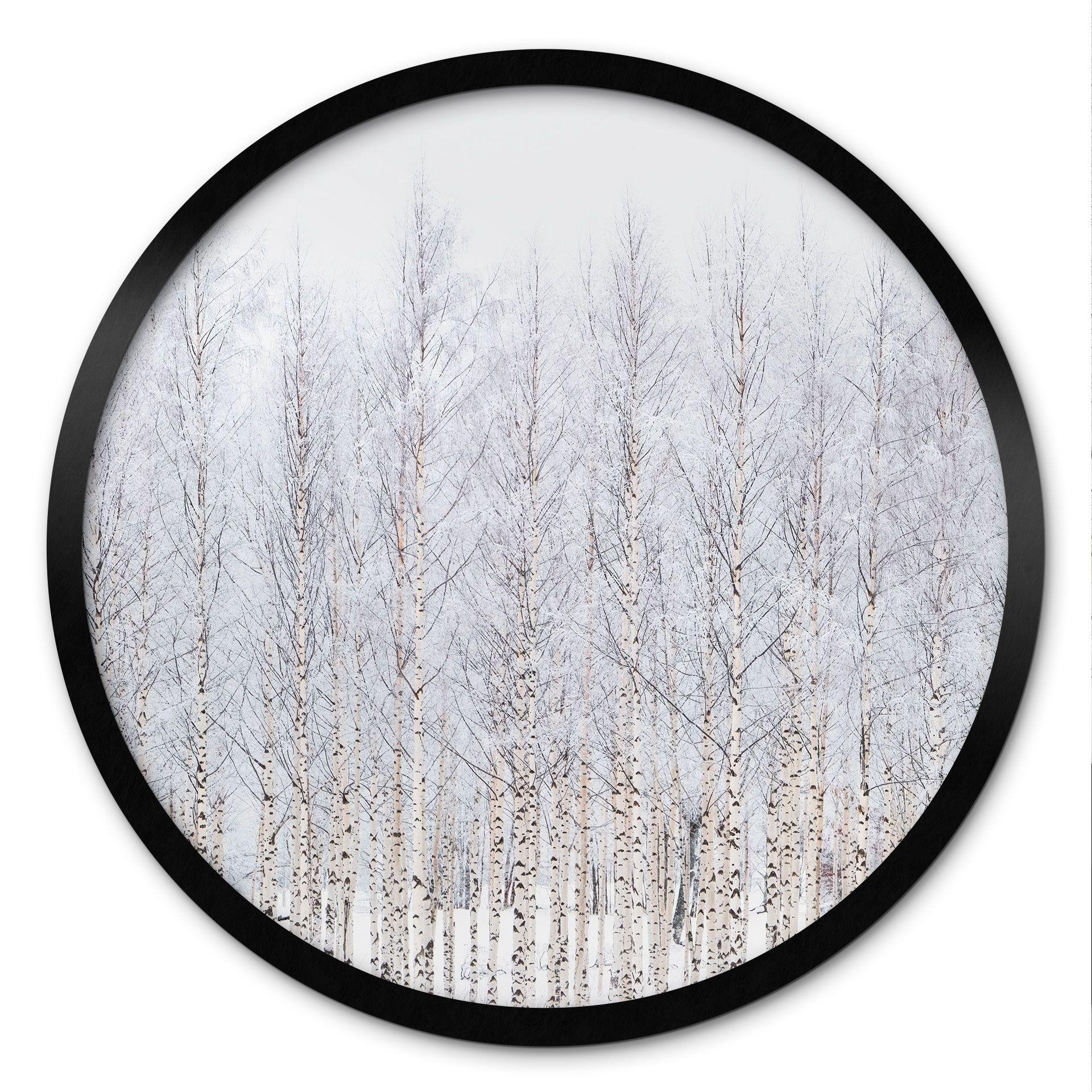 Póster Bosque de abedules en invierno - EMELIEmaria - Redondo