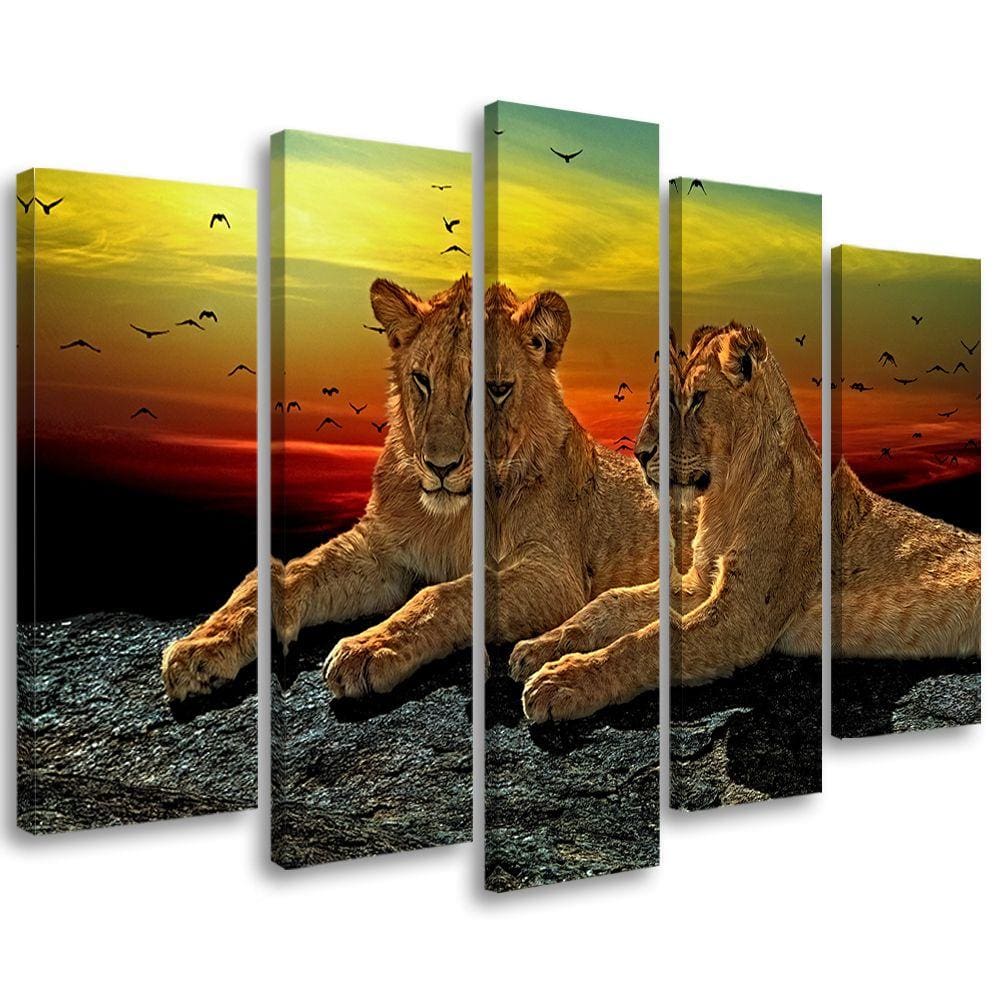 5 stykke lærredsprint, Lion Savannah Africa Nature