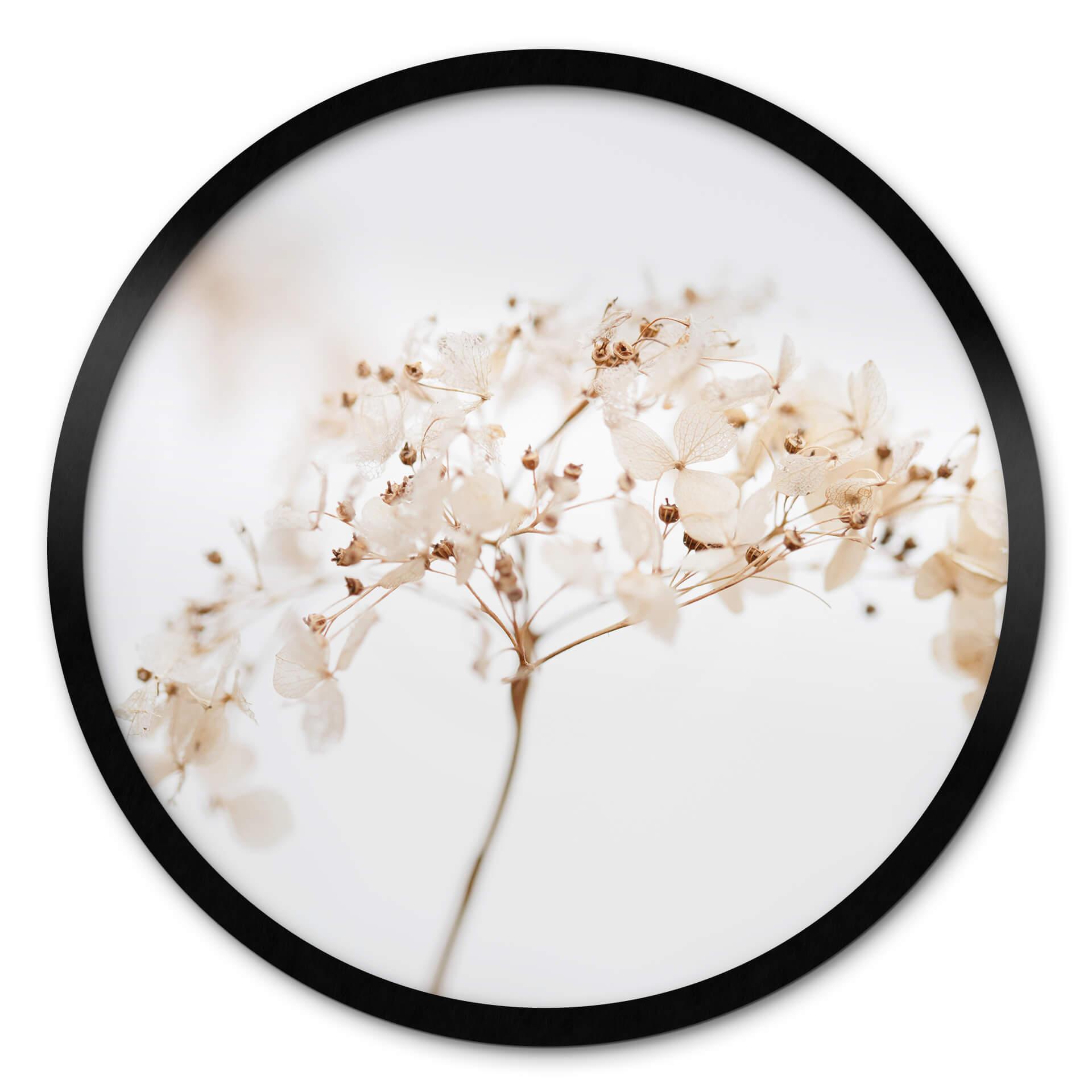 Póster 1X Estudio - Ramo con delicadas flores - Redondo
