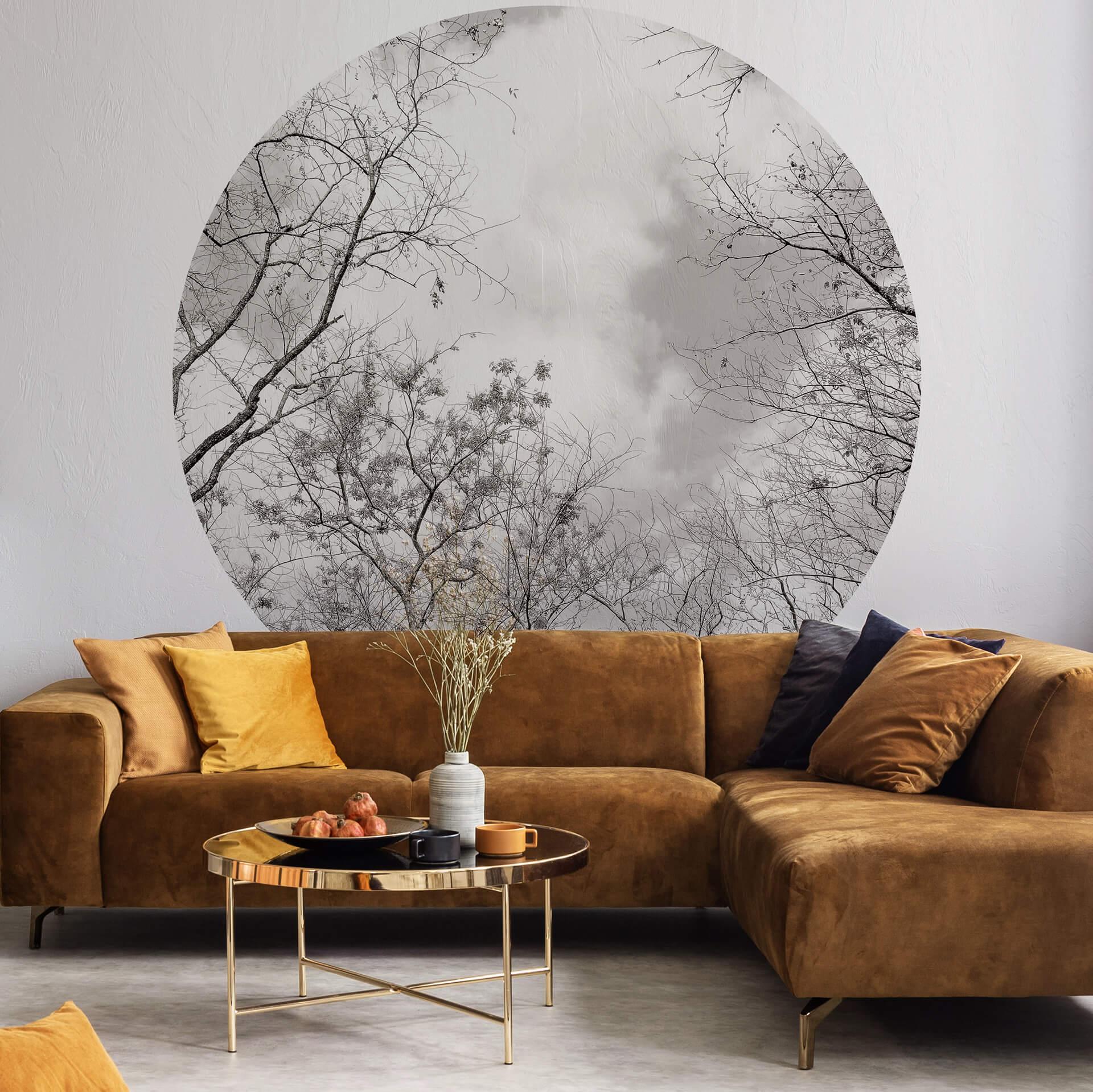 Fototapet - Rundt Cime degli alberi nel cielo - vliesetapet/selvklæbende non-woven tapet