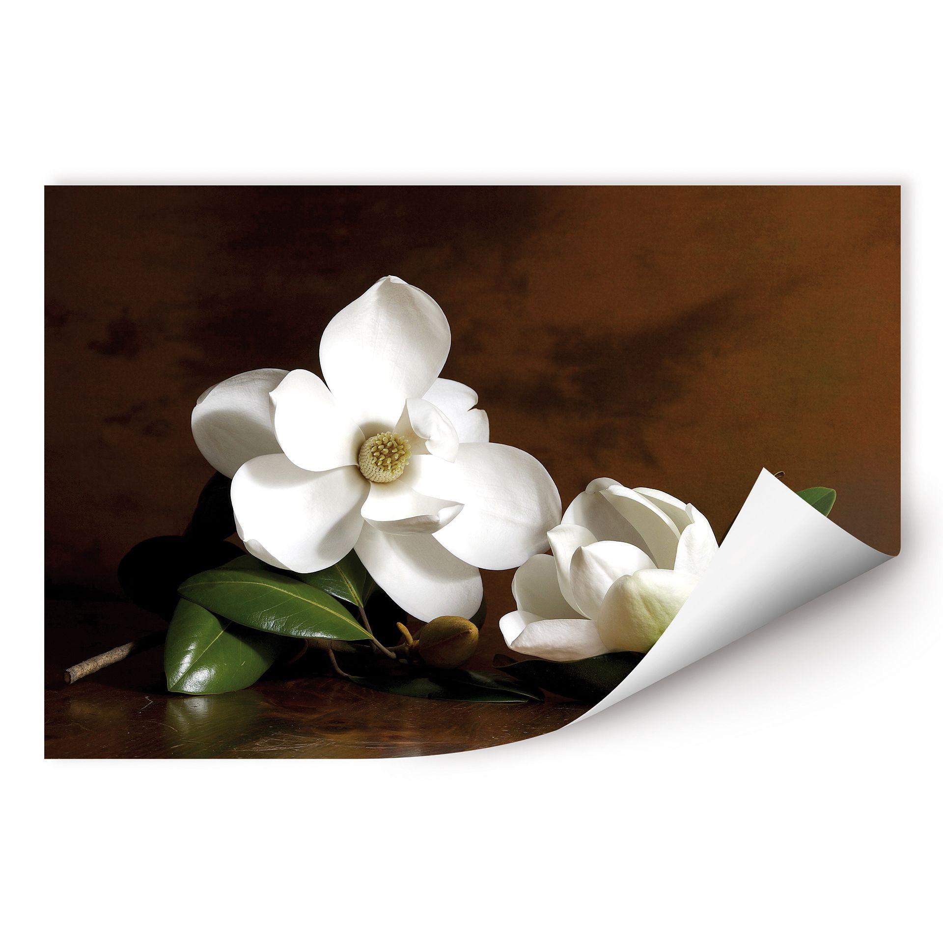 Zelfklevende Poster - Magnolia tak