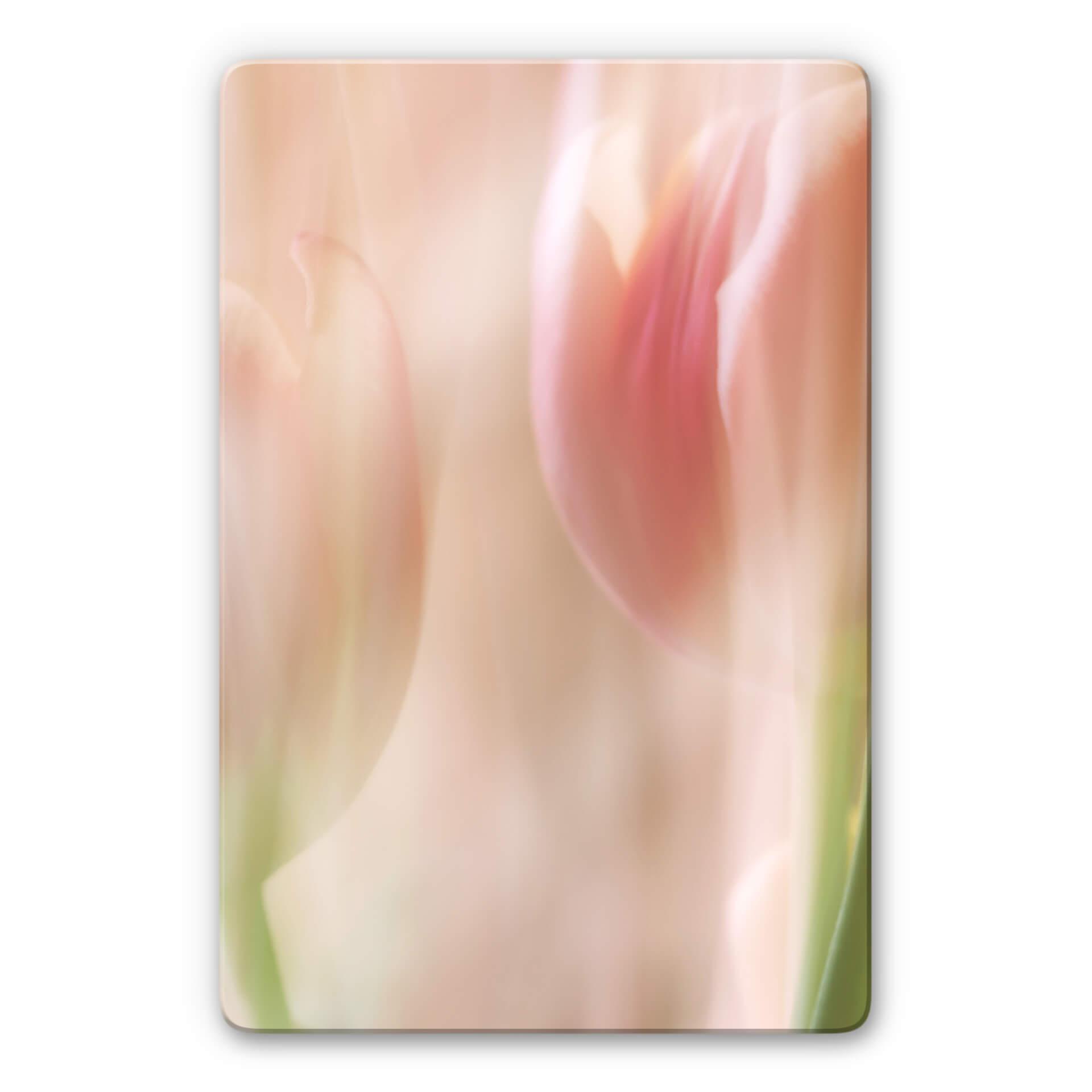 Glasschilderij Westum - Shy Tulips