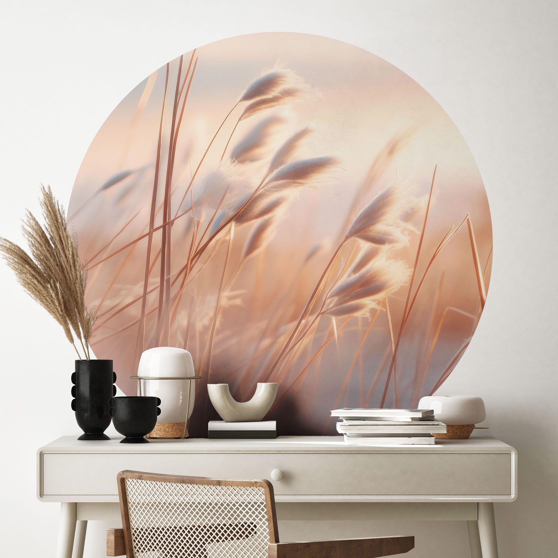 Vinilo decorativo Dune grass in the evening sun - Treechild - Redondo