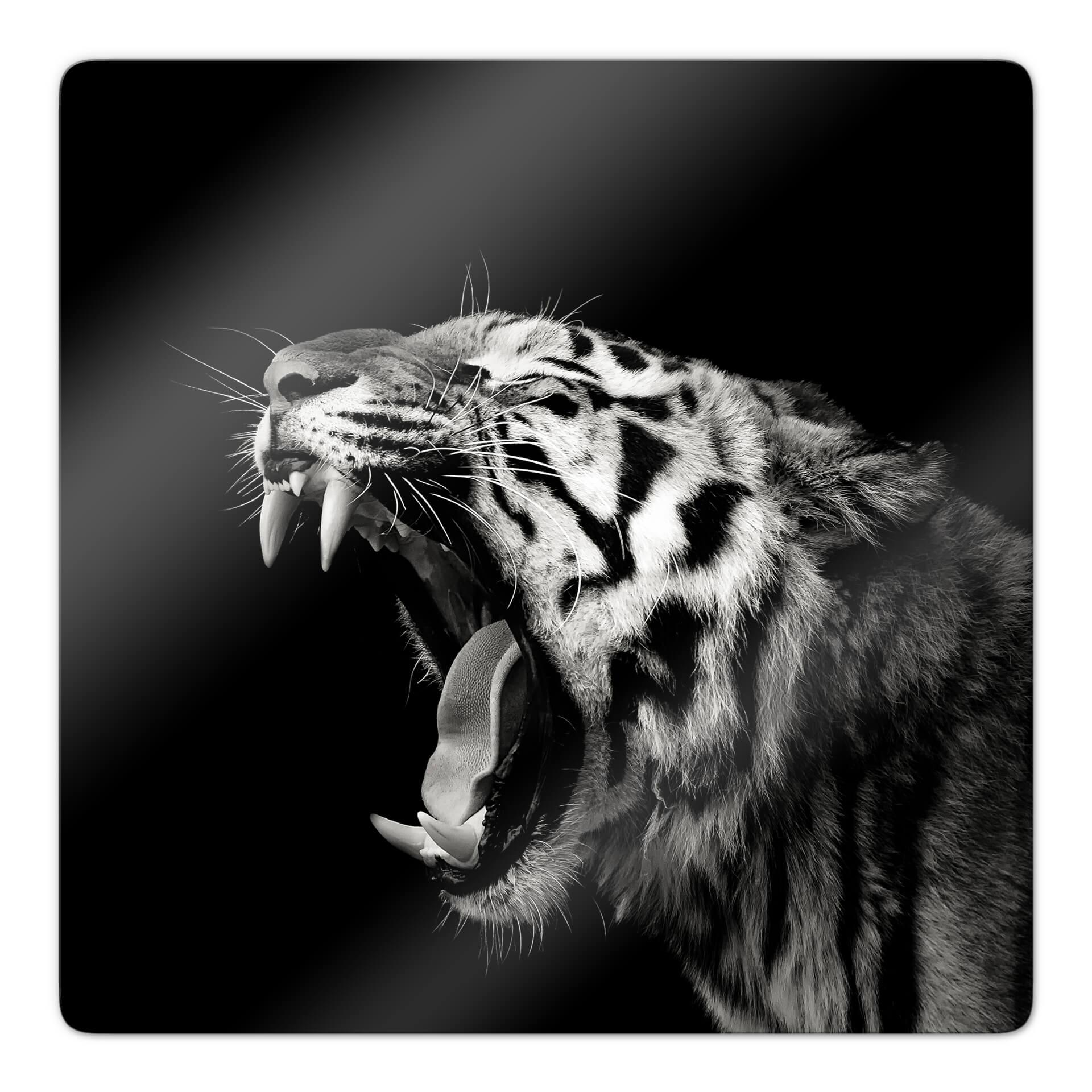 Tableau en verre Meermann - Le tigre - Carré