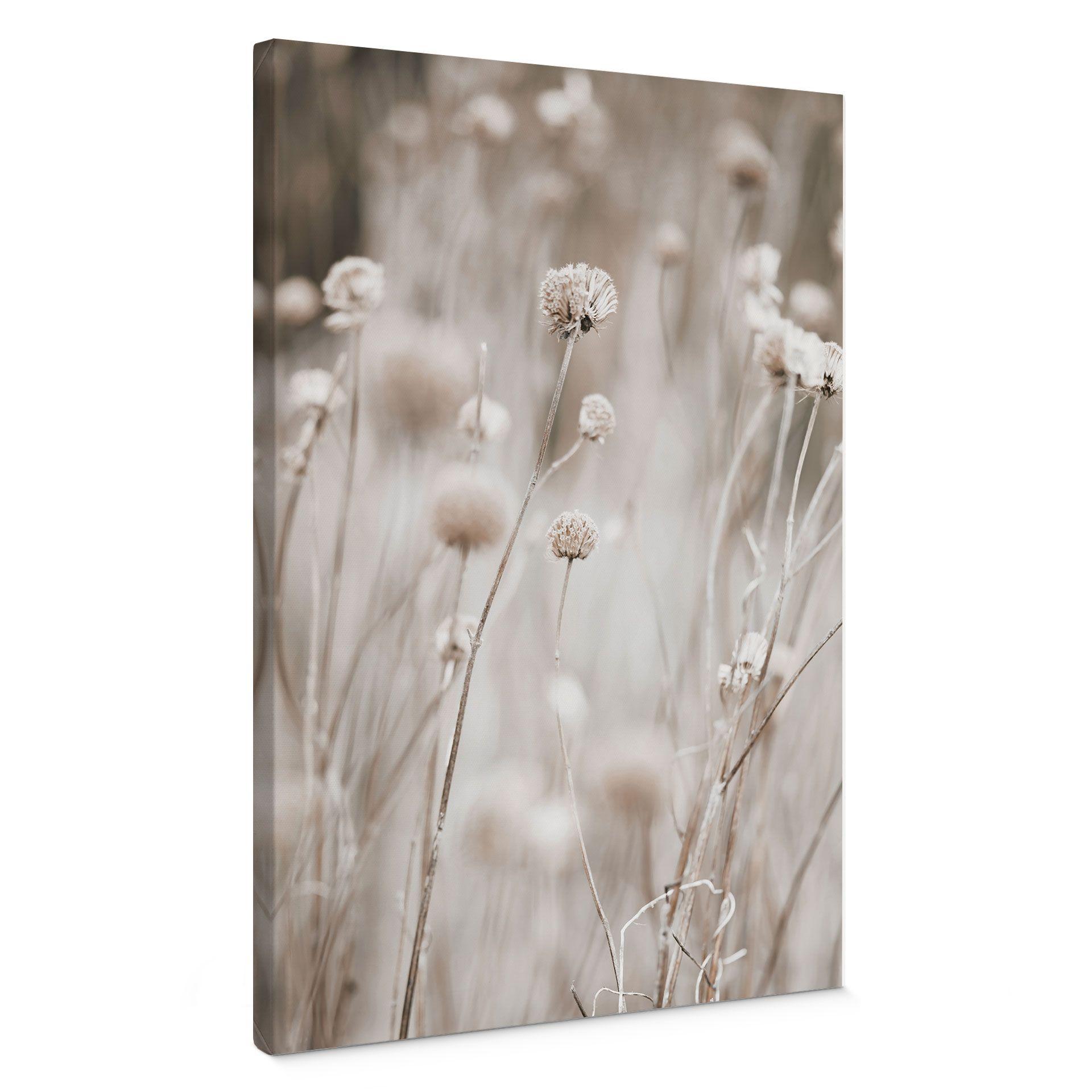 Cuadro Lienzo Flores secas en tonos suaves - Annie