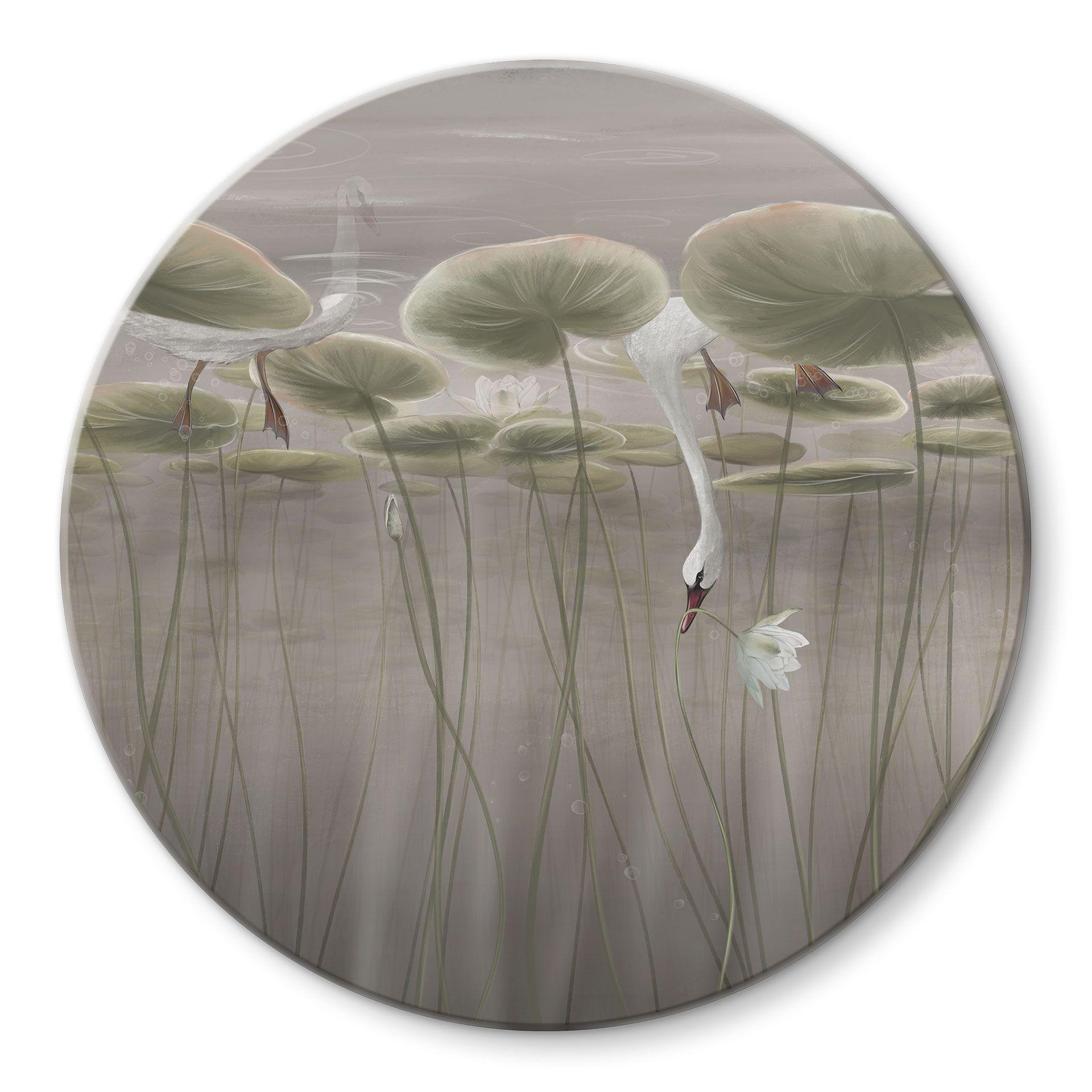 Glasschilderijen Lotusbloemen met zwaan in water in grijs - Ms Tiff - Rond