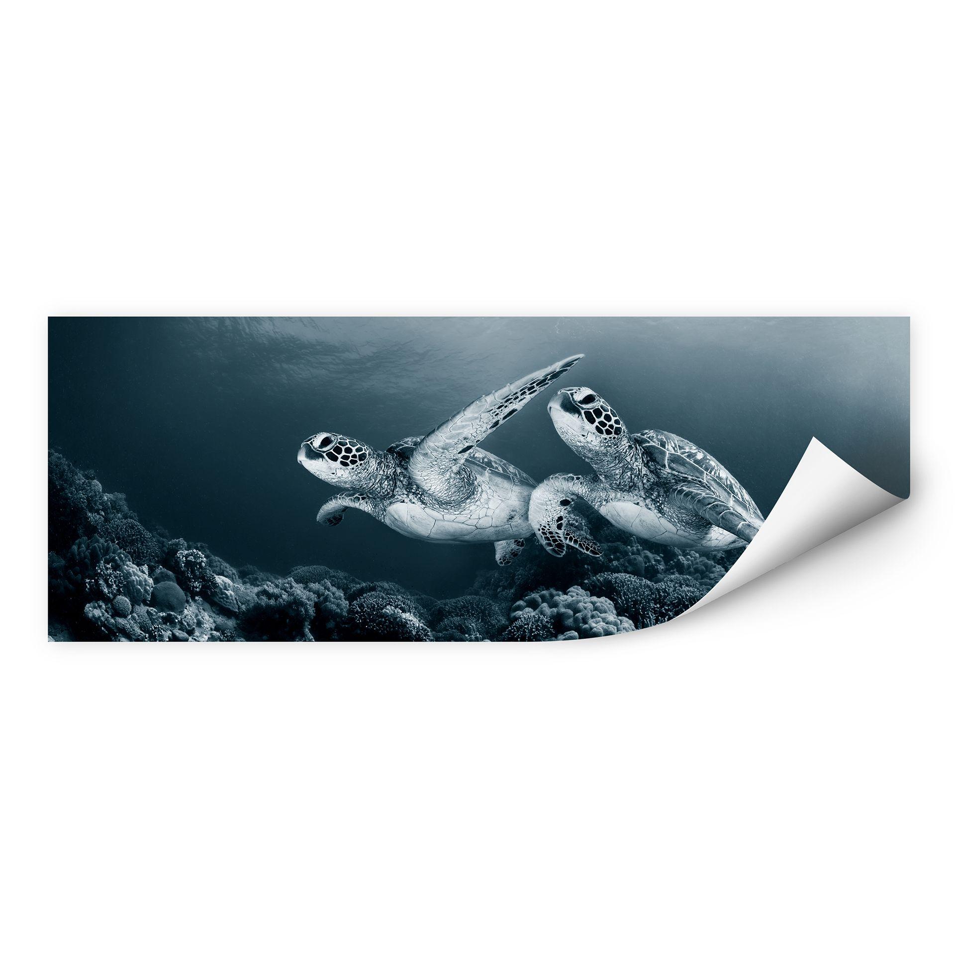 Zelfklevende Poster - Narchuk - Traveling Turtles