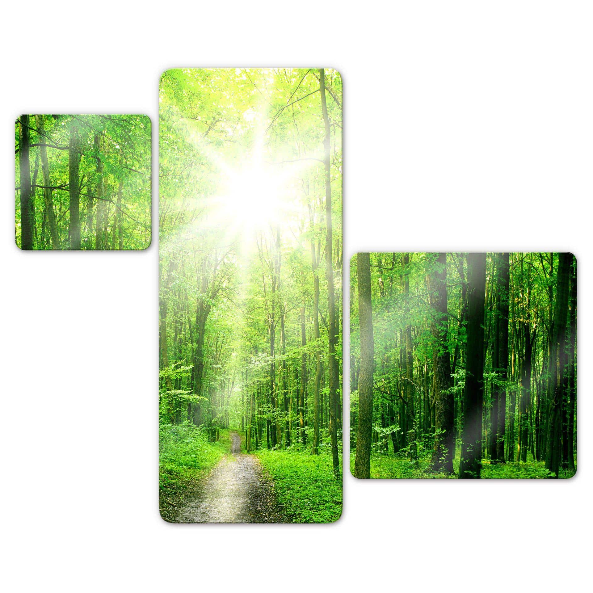 Tableau en verre - Sunny Forest Variation (3 parties)
