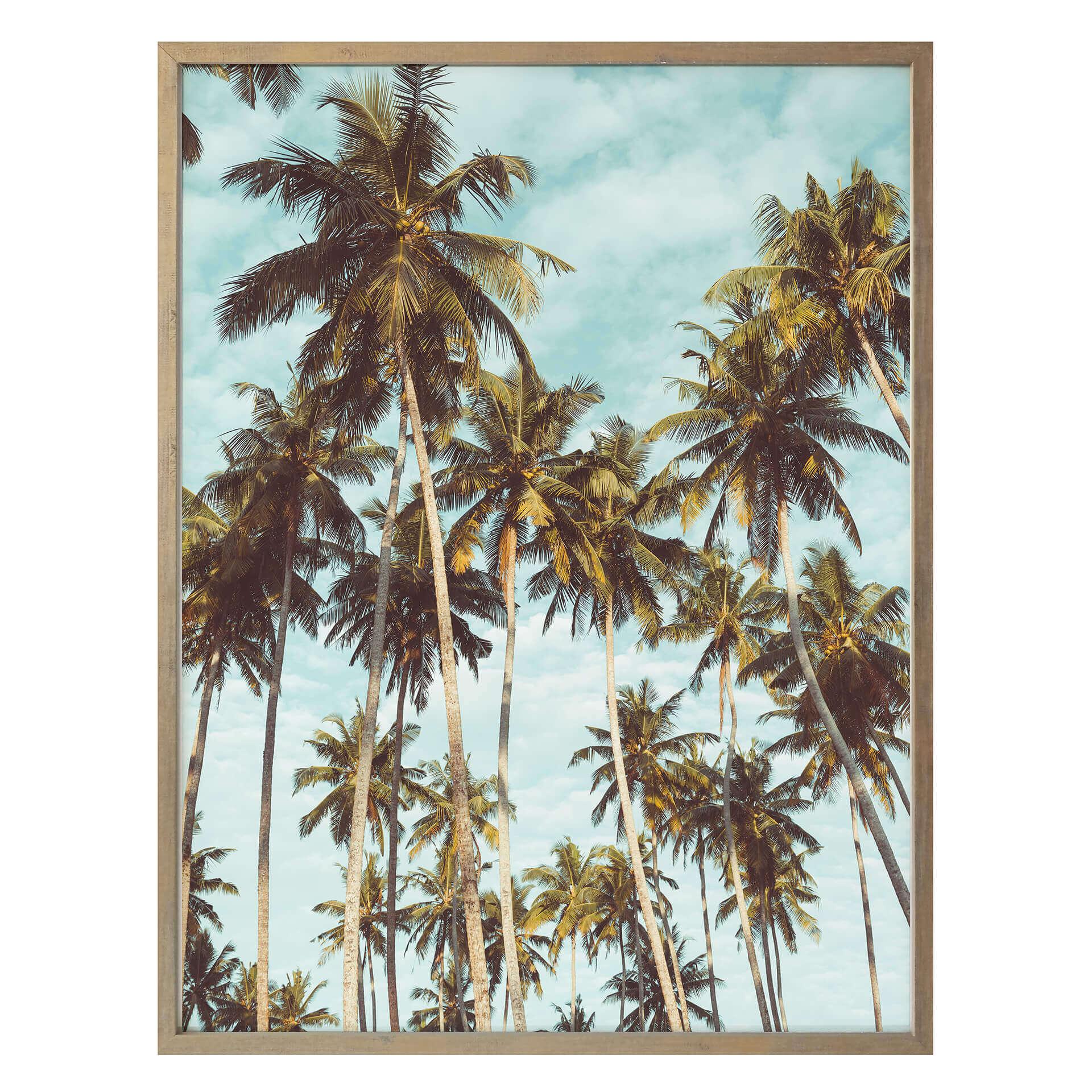 Póster - Palmeras 08