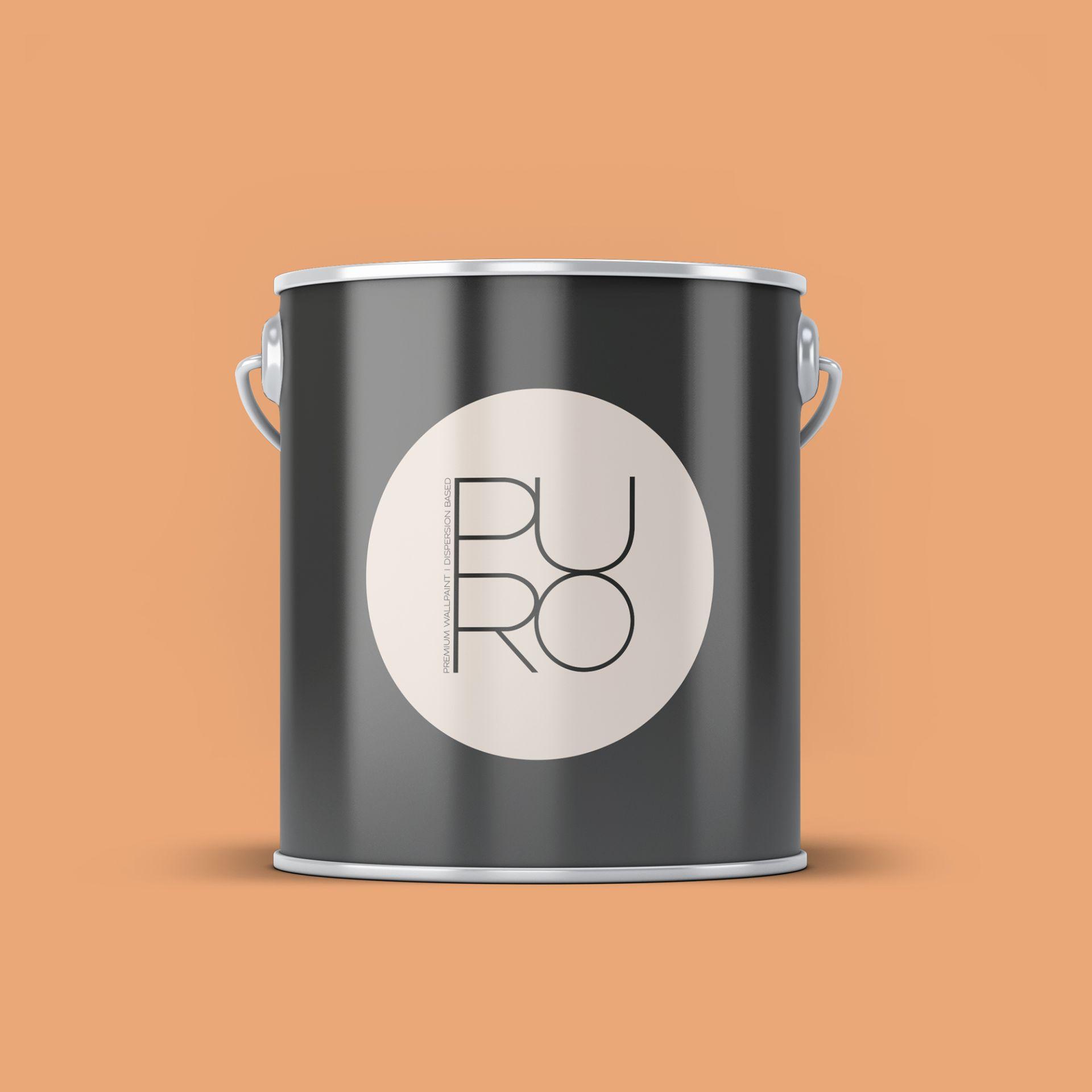 Pintura interior mate - PURO c9001 naranja polvoriento