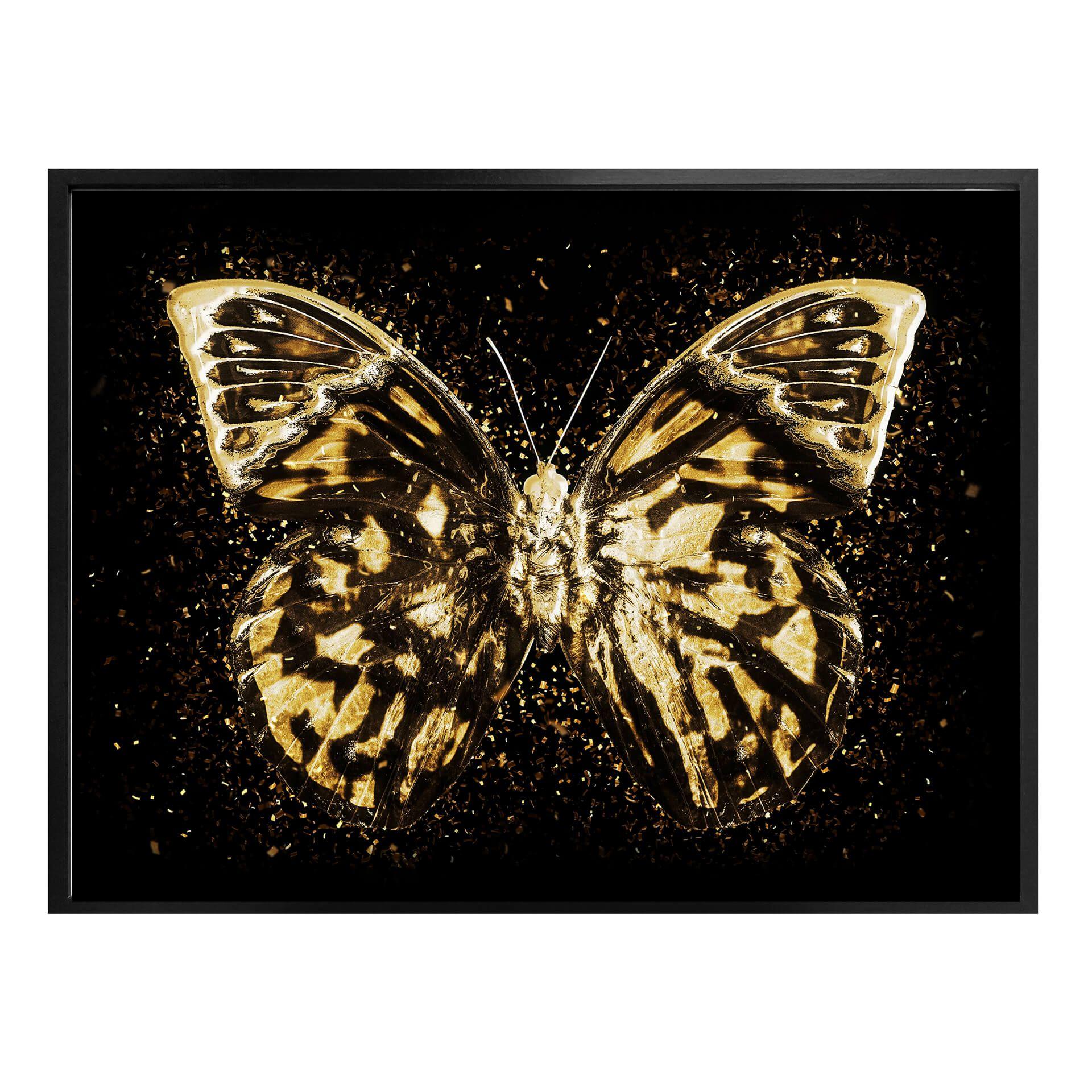 Póster Hugonnard - Mariposa dorada