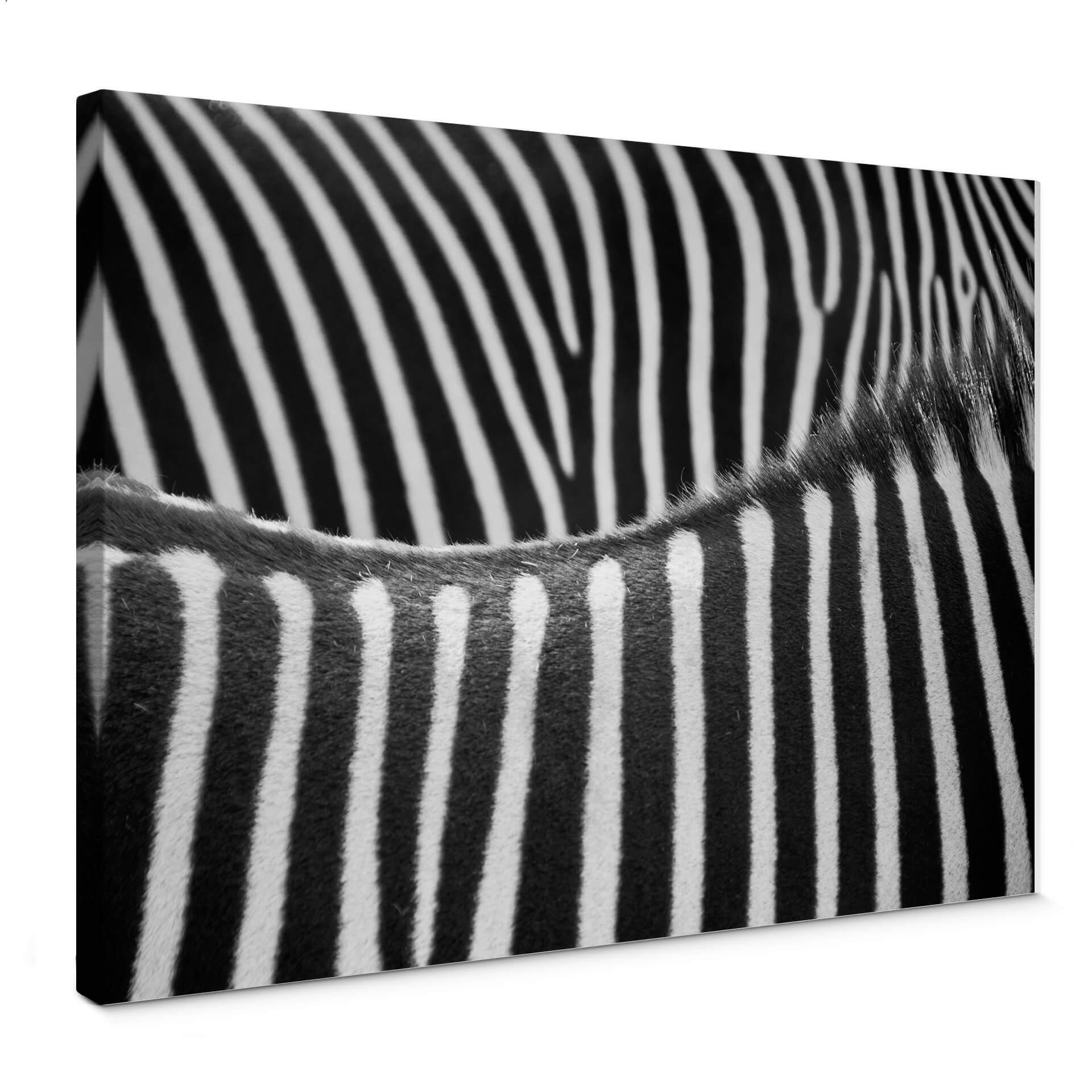 Zebra - Lærredsprint