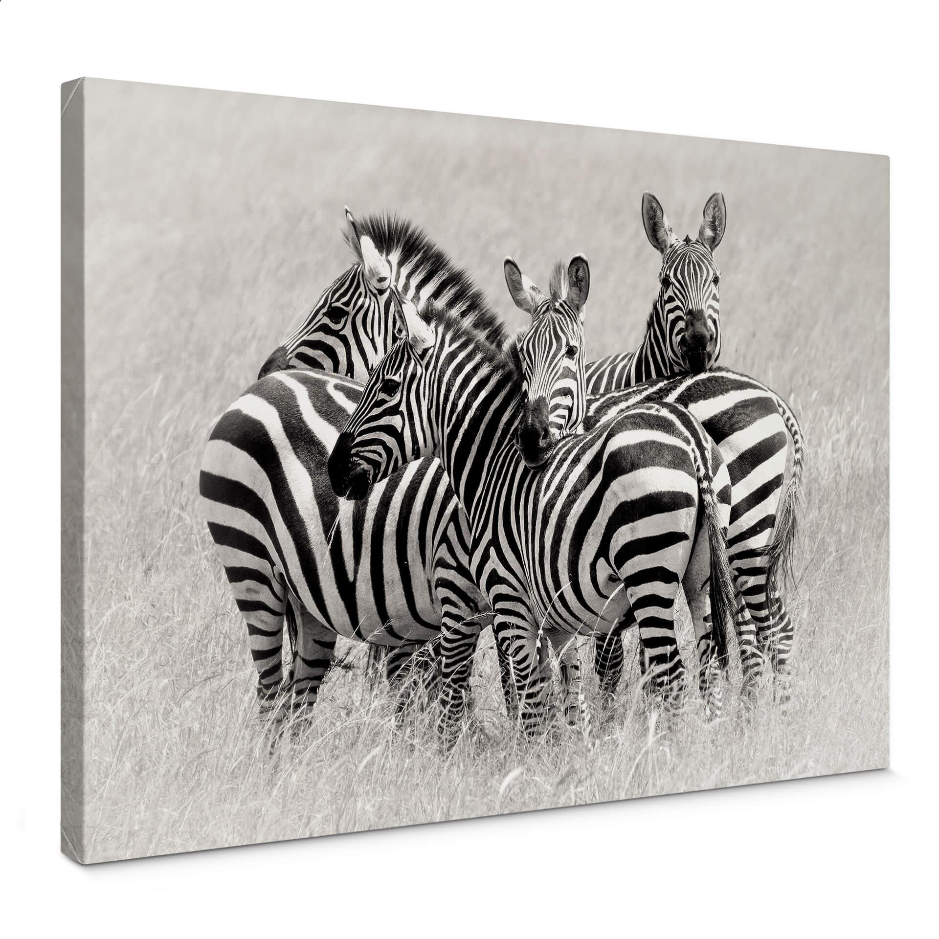 Canvasbillede - Trubitsyn - Zebras in the Savannah