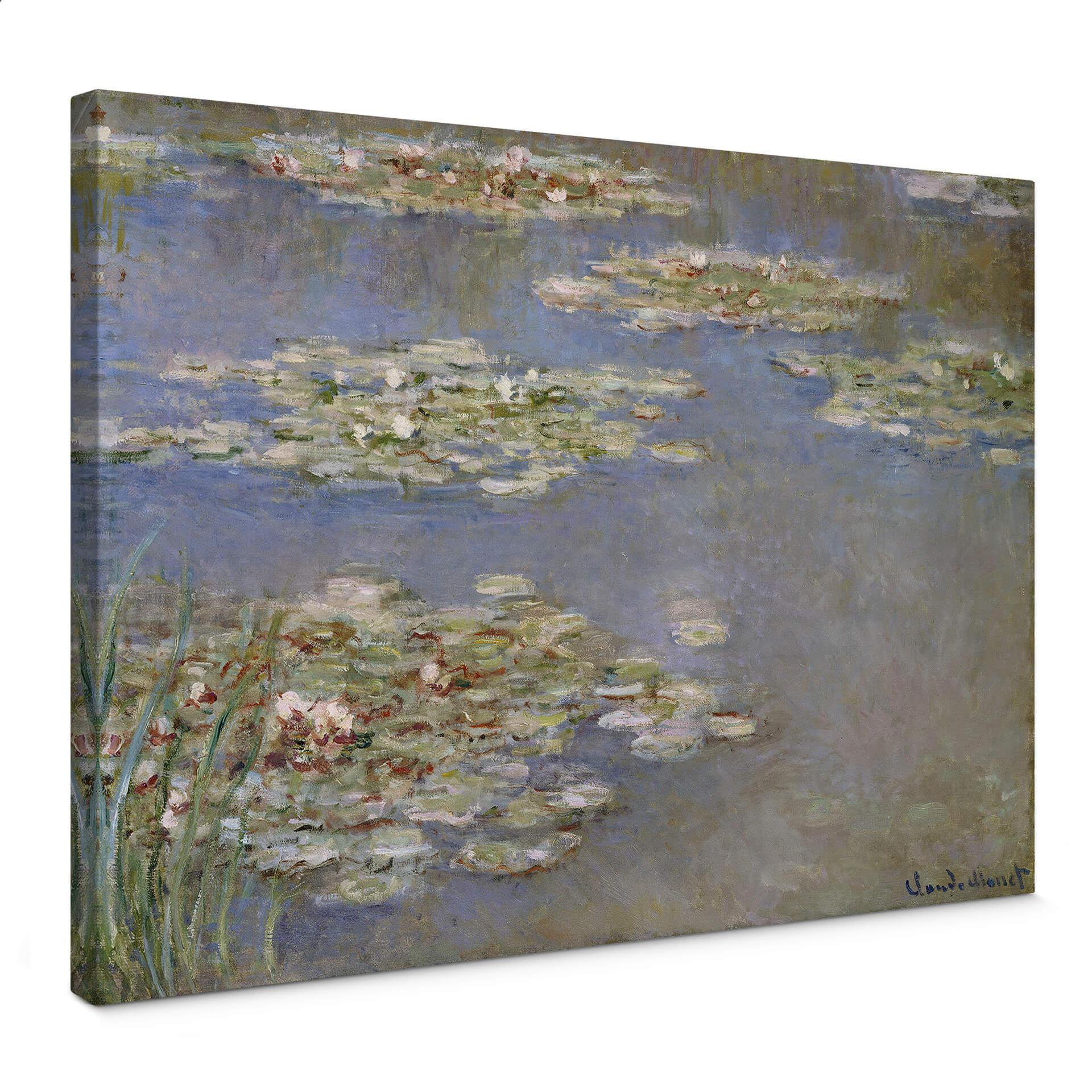 Lienzo Monet - Nenúfares 1905