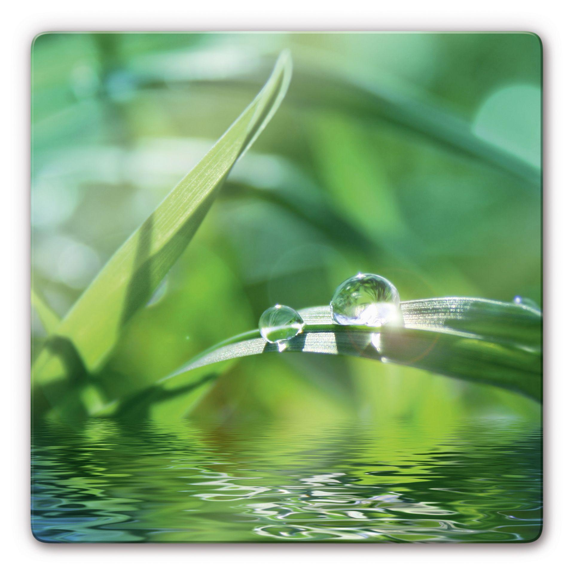 Tableau en verre - Nature 6