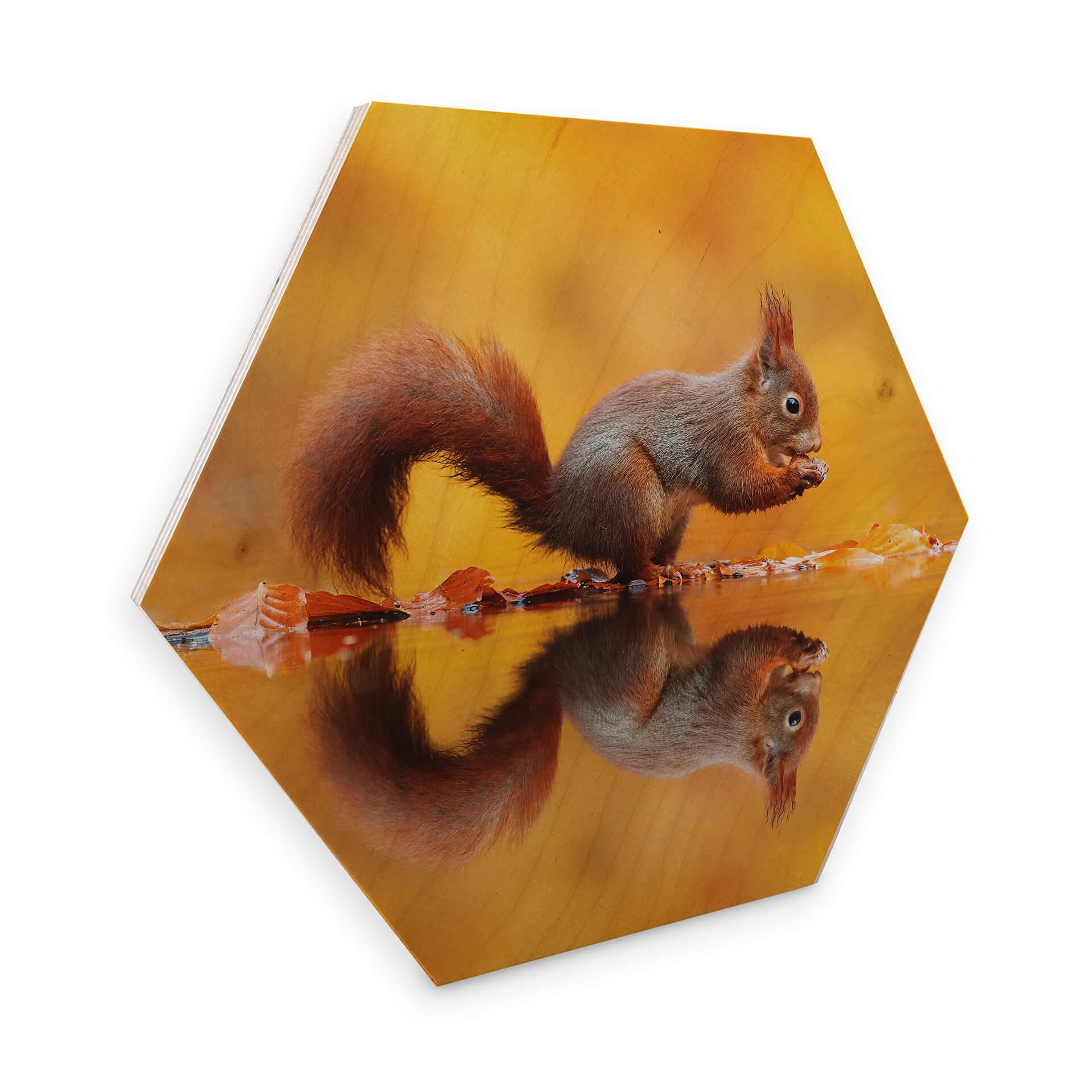 Hexagon Hout Dibond van Duijn - Eekhoorntje met Noot