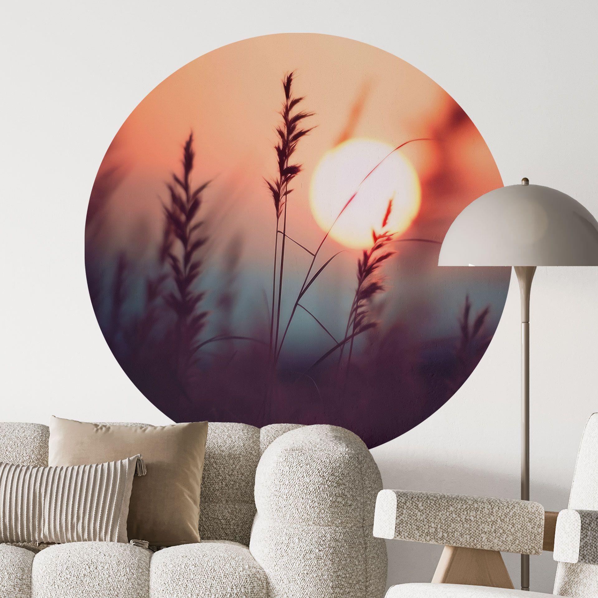 Vinilo decorativo de naturaleza Hierbas a la luz del sol - Treechild - Redondo