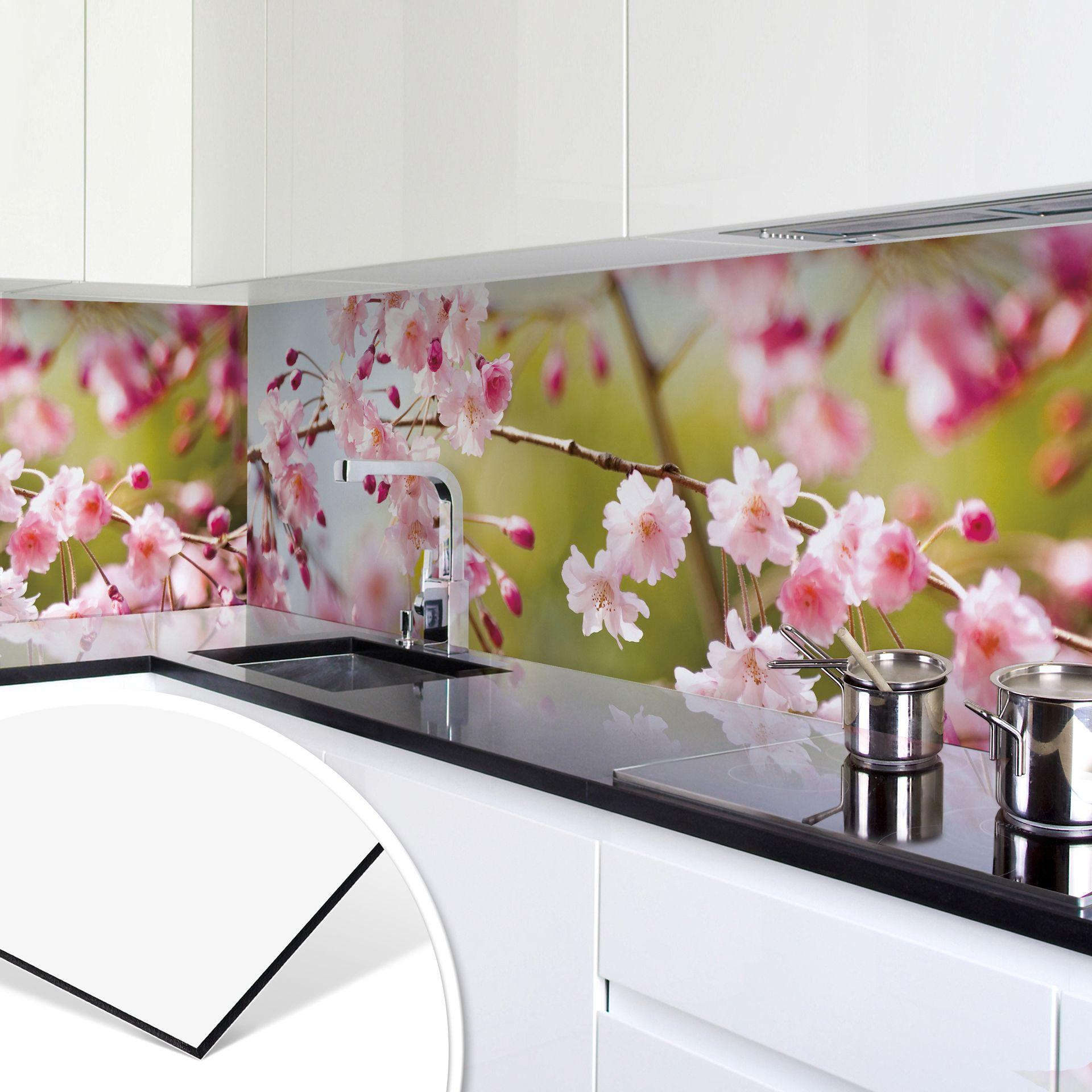 Revêtement pour cuisine - Alu-Dibond - Fleurs de cerisier
