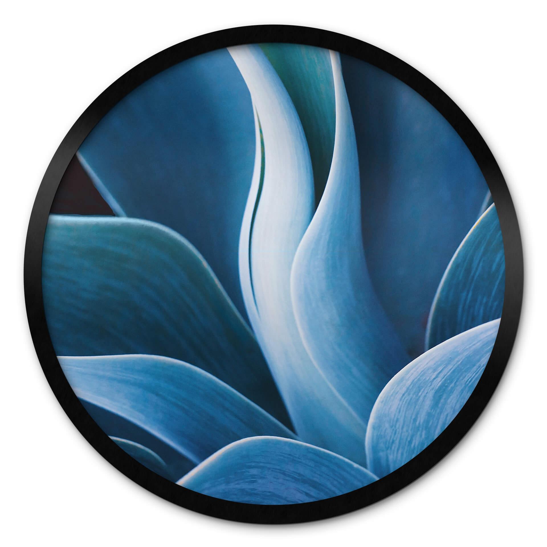 Póster Wechsler - Plantas Naturaleza Muerta Agave - Redondo