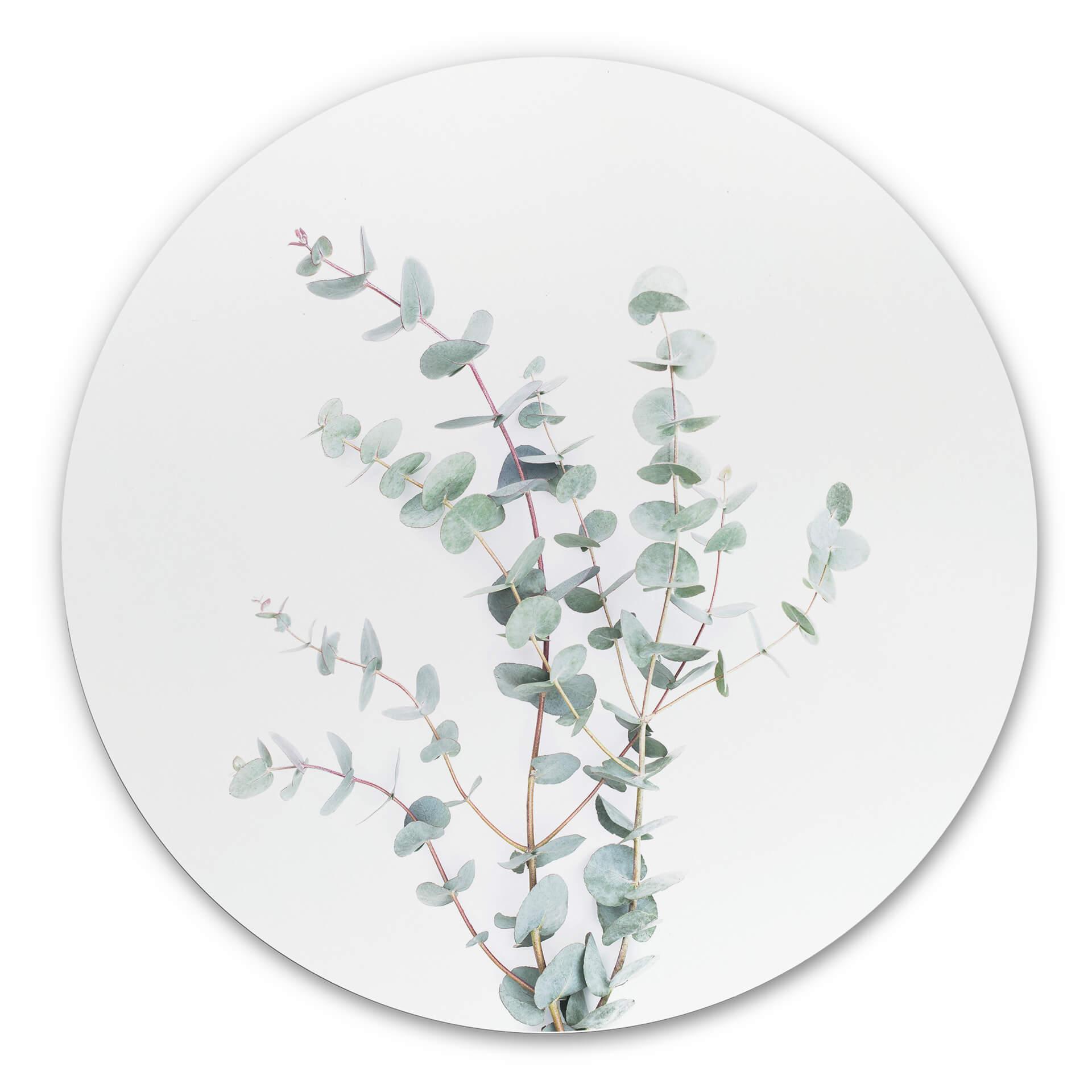 Tableau en alu-Dibond Sisi & Seb - Branche d'Eucalyptus - Rond