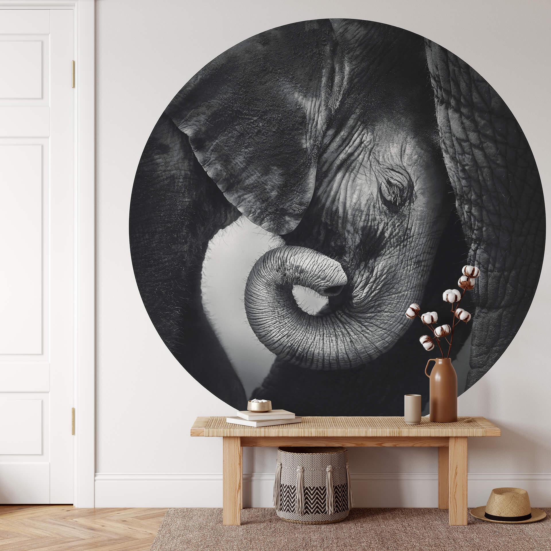 Fotomural El bebé elefante - Redondo - Papel pintado autoadhesivo/no tejido