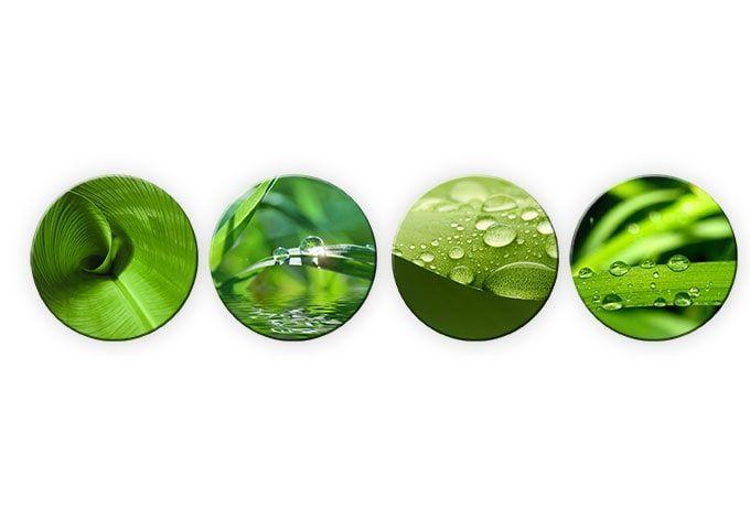 Tableau en verre - Nature set (4 parties) - Rond