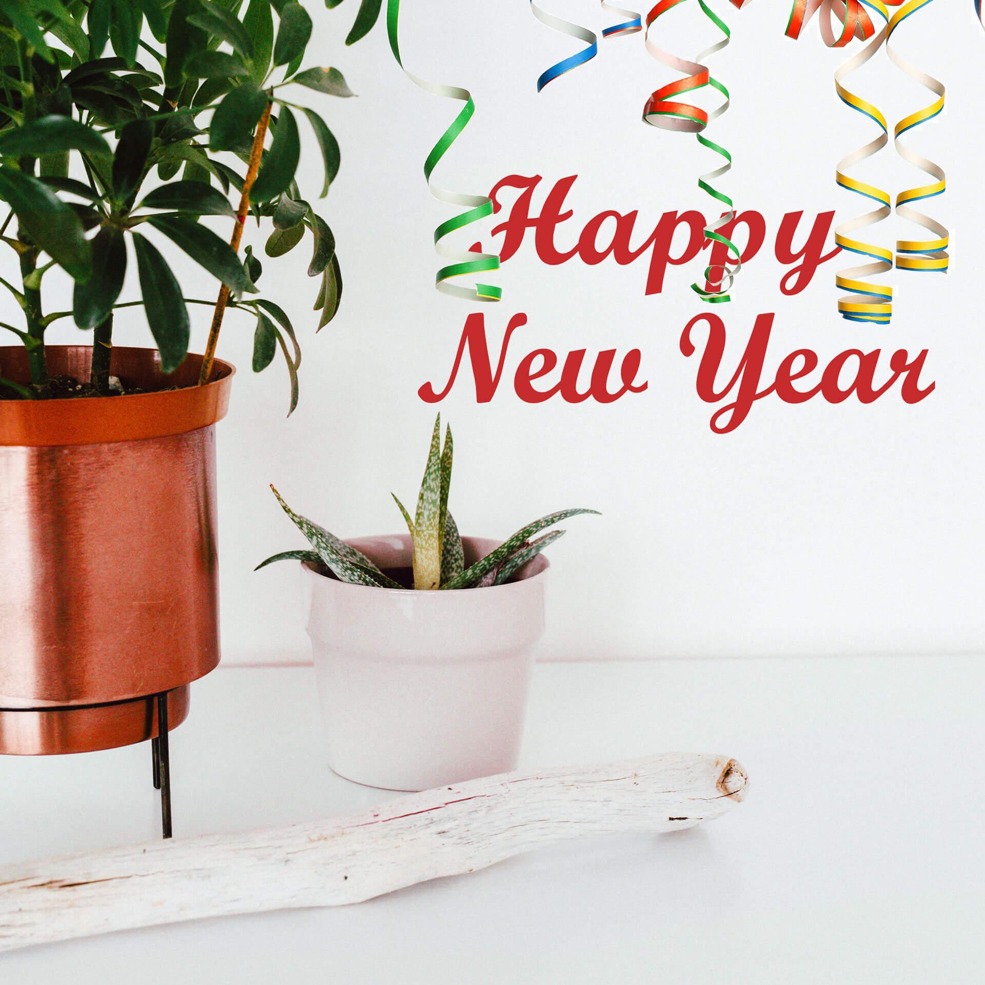 Happy New Year