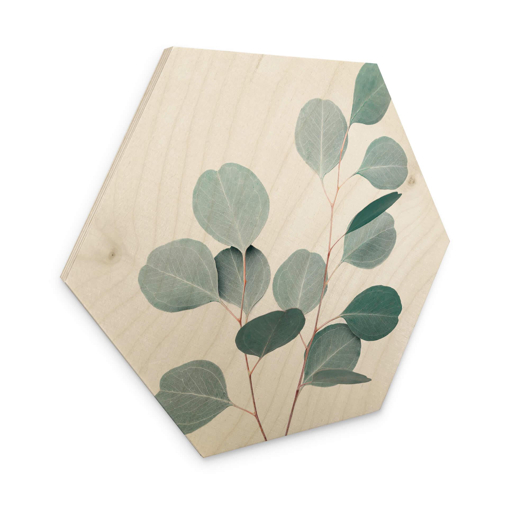 Hexagone - Bois Sisi & Seb - Eucalyptus bleu