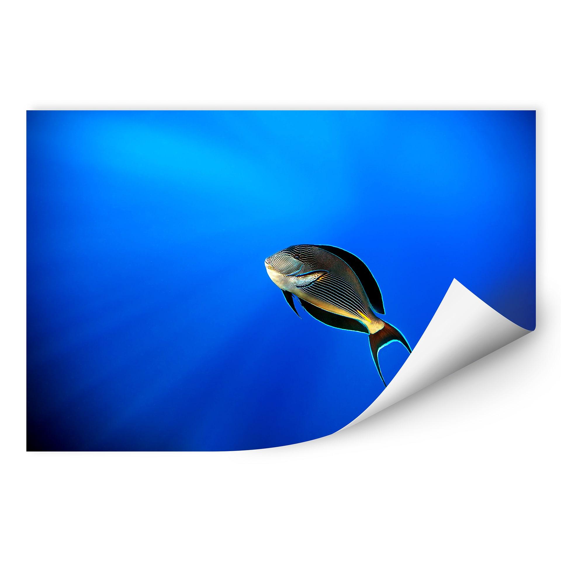 Zelfklevende Poster Catta - Deep Ocean