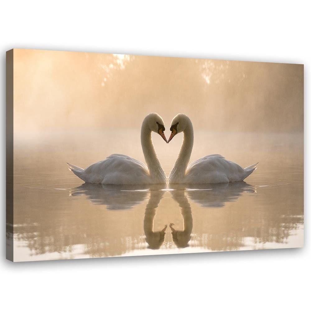 Canvasbillede, Svaner på en dam