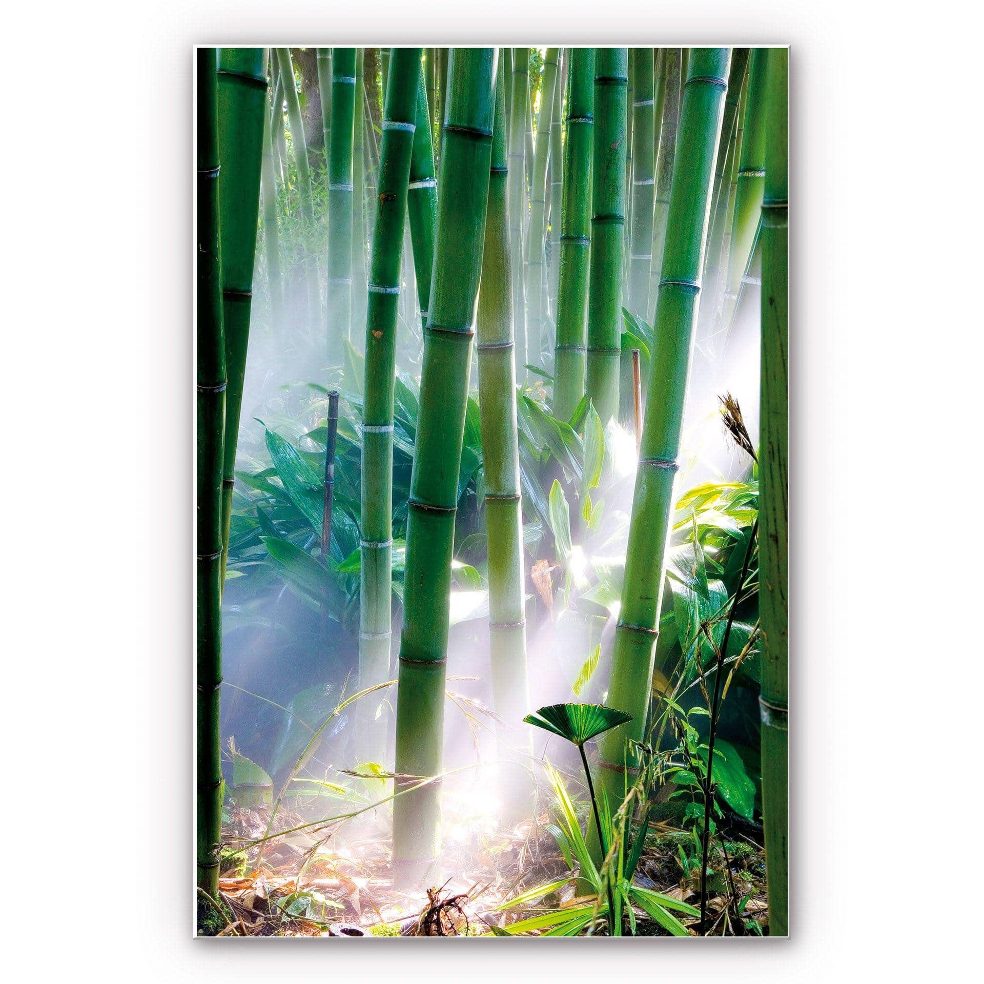 Tableau Forex - Bamboo Forest 