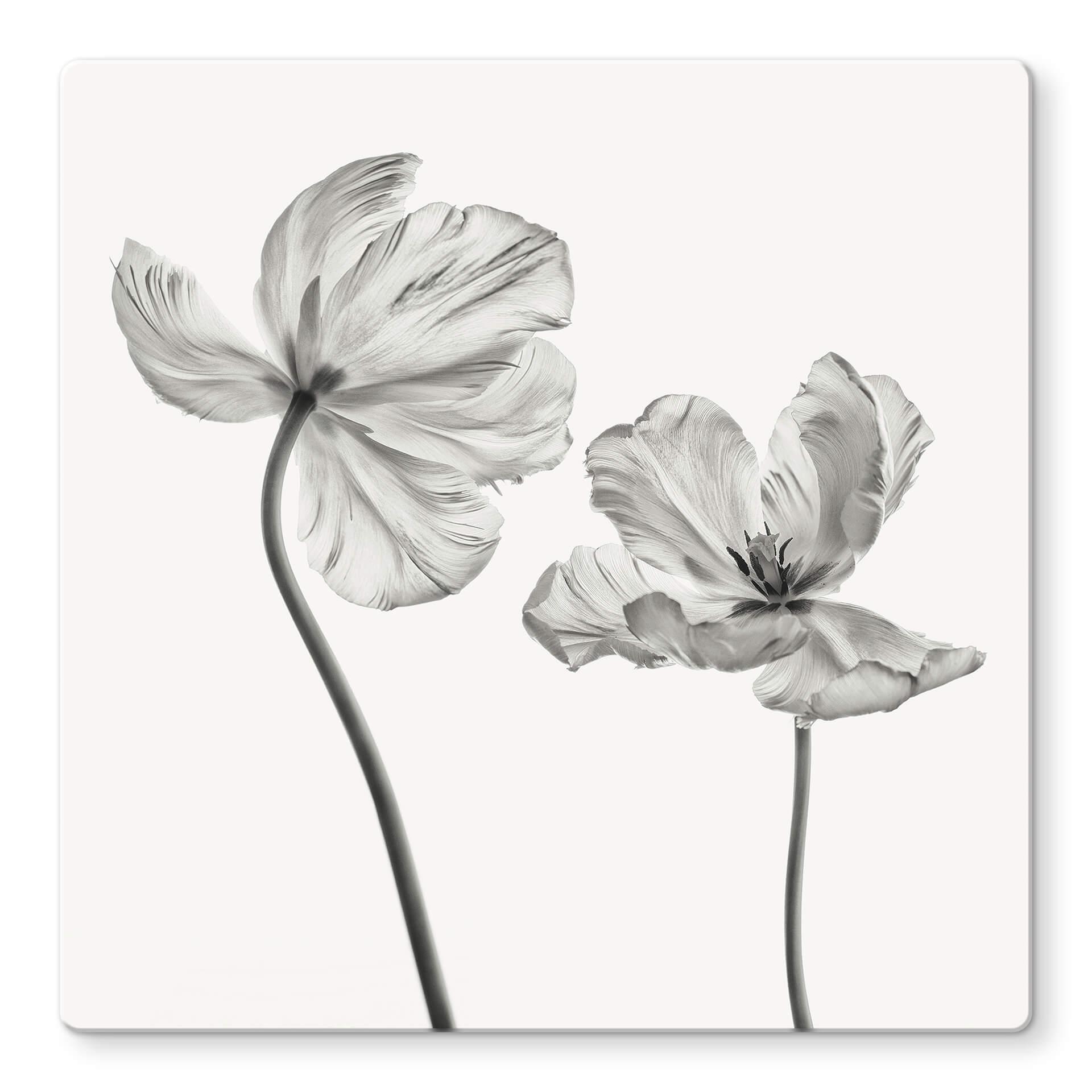 Tableau en verre Grønkjær - Tulipes