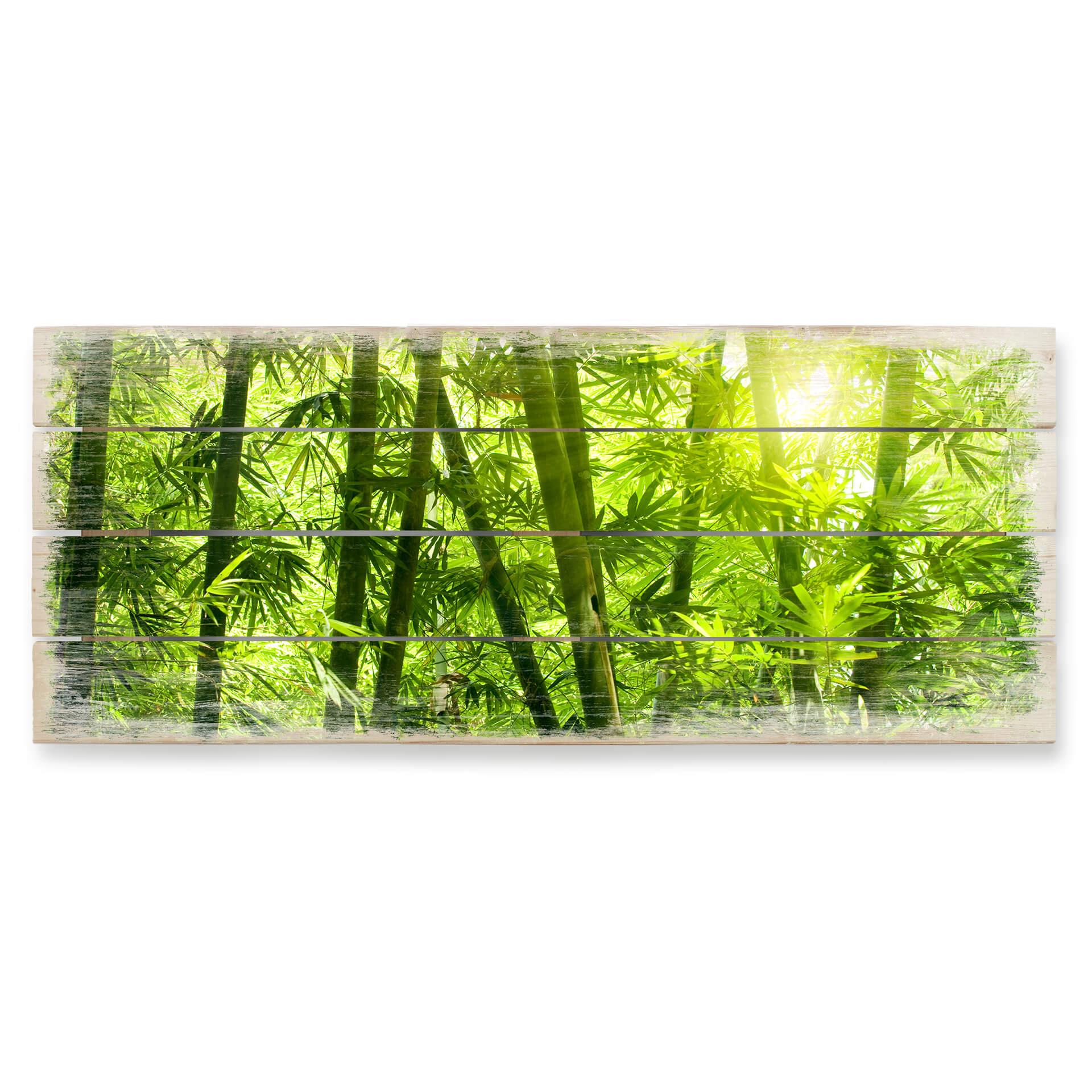 Houten Wanddecoratie Zonneschijn in een Bamboebos - Panorama